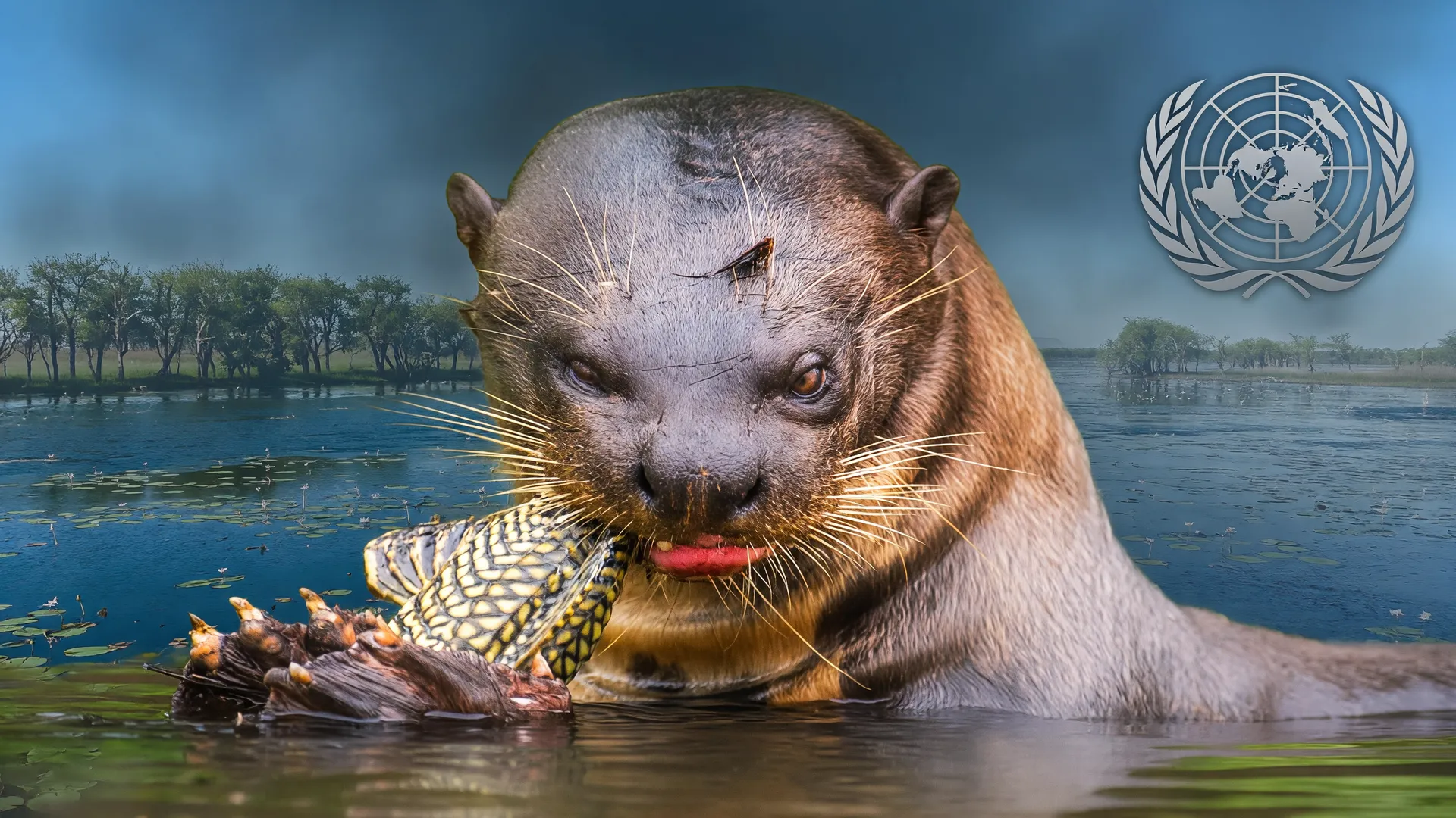 Ariranha em habitat natural do Pantanal com emblema da ONU, simbolizando proteção internacional de espécies migratórias