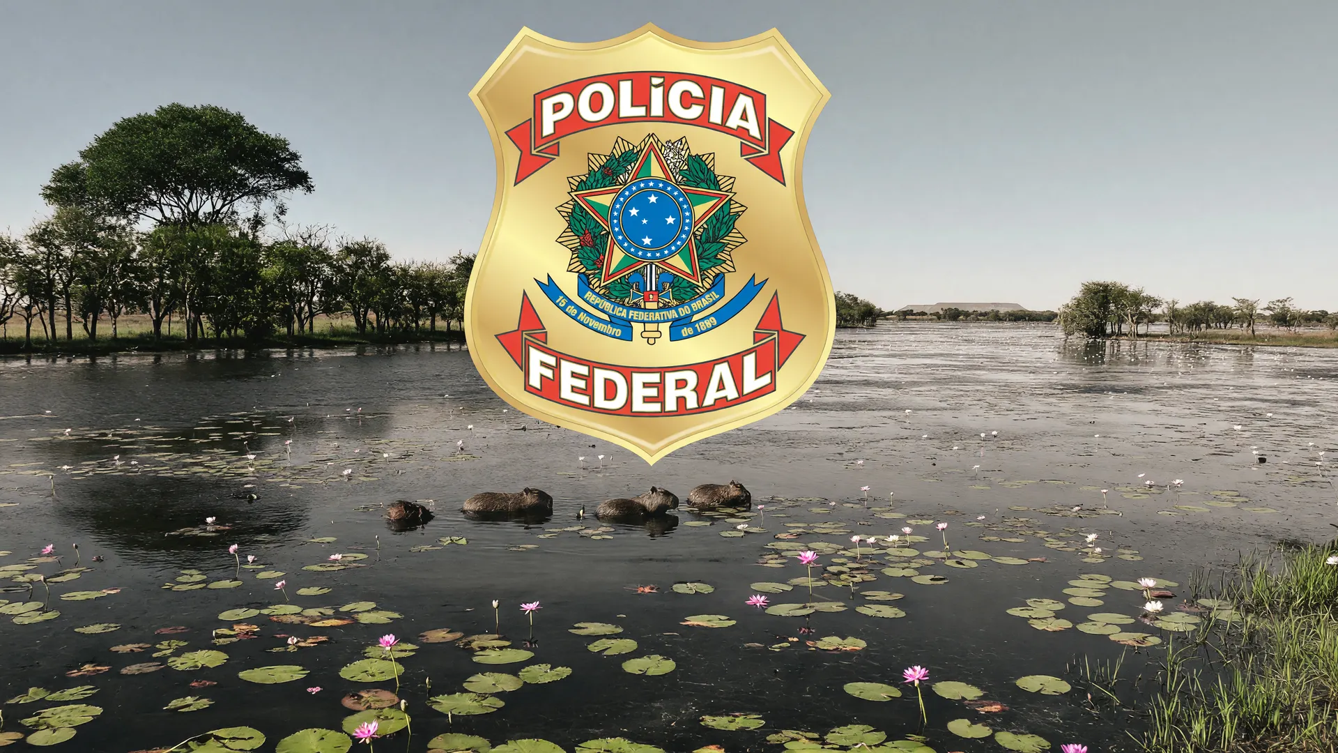 Polícia Federal e Pantanal: segurança para COP-15 em Campo Grande