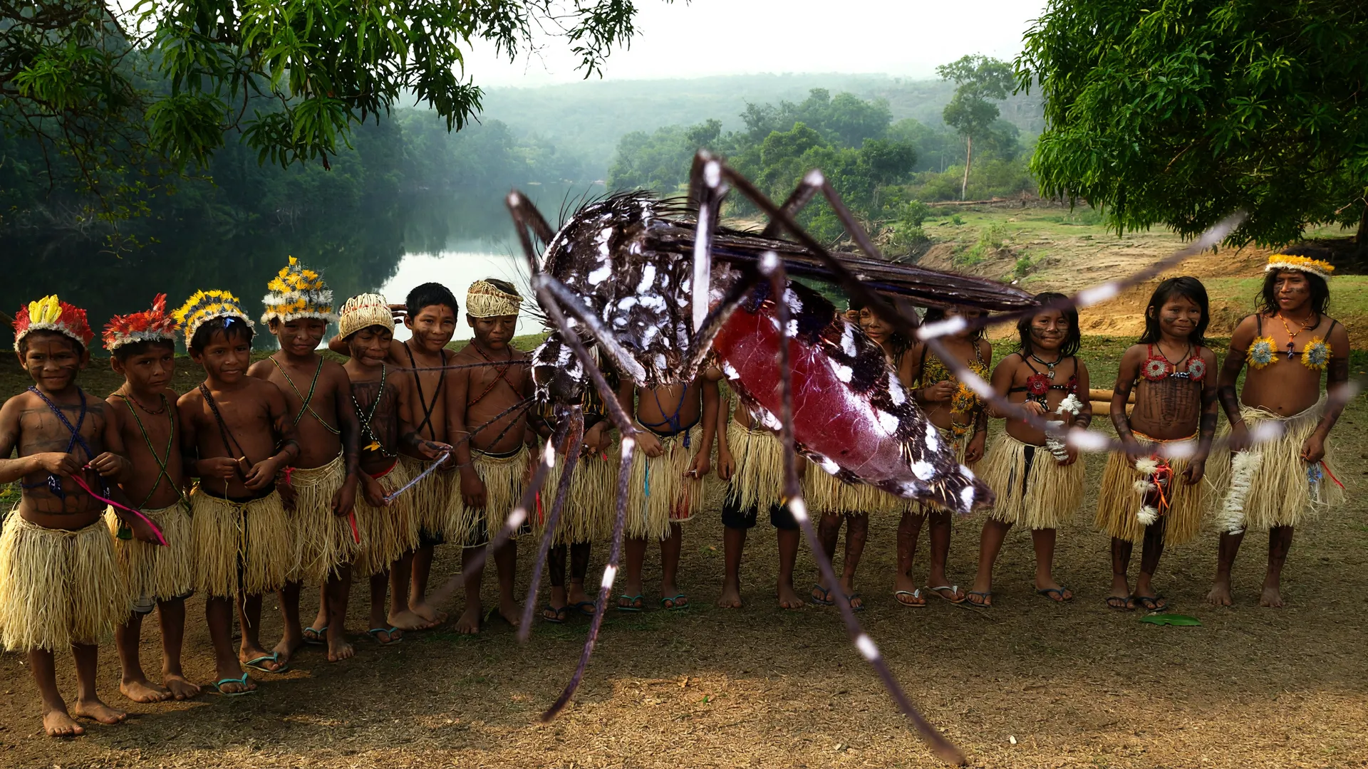 Comunidade indígena vulnerável ao mosquito: vacinação chikungunya Mato Grosso do Sul salva vidas