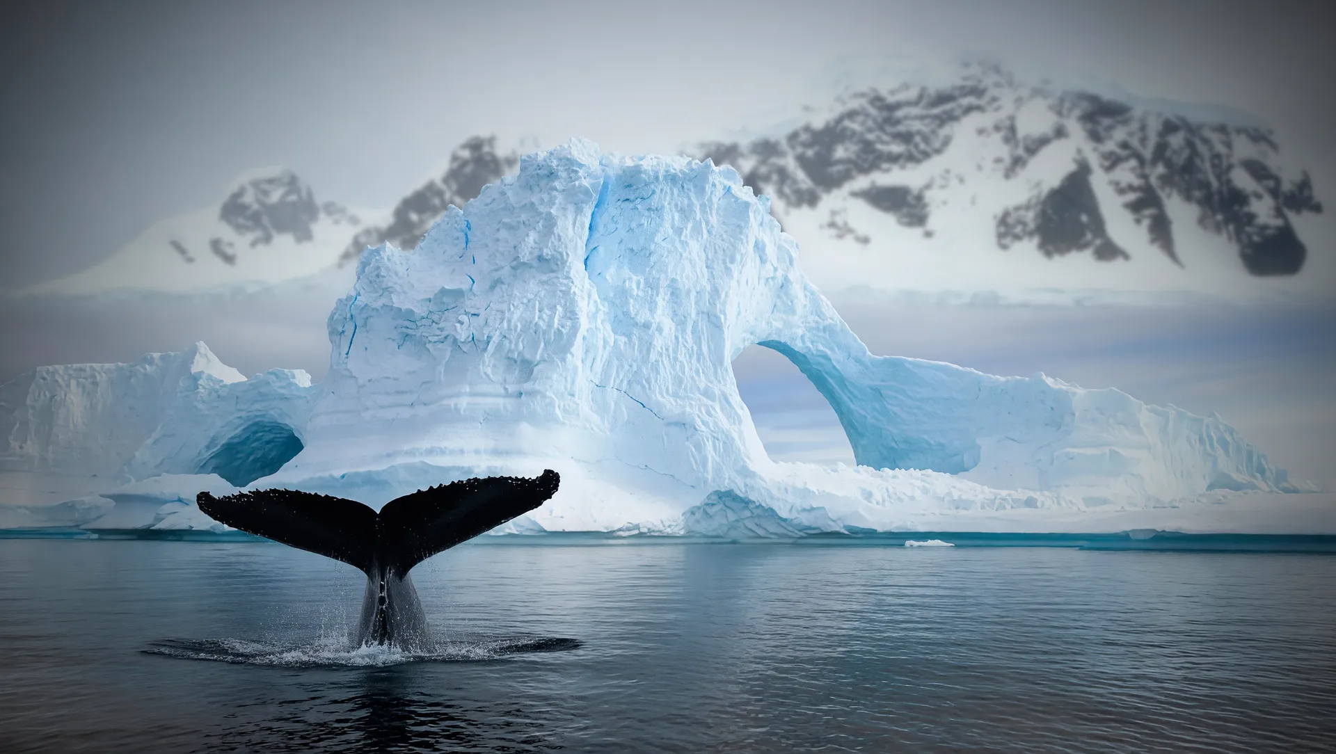 Iceberg antártico encontrando oceano quente: visualização da ameaça de água quente profunda à Antártida e suas geleiras