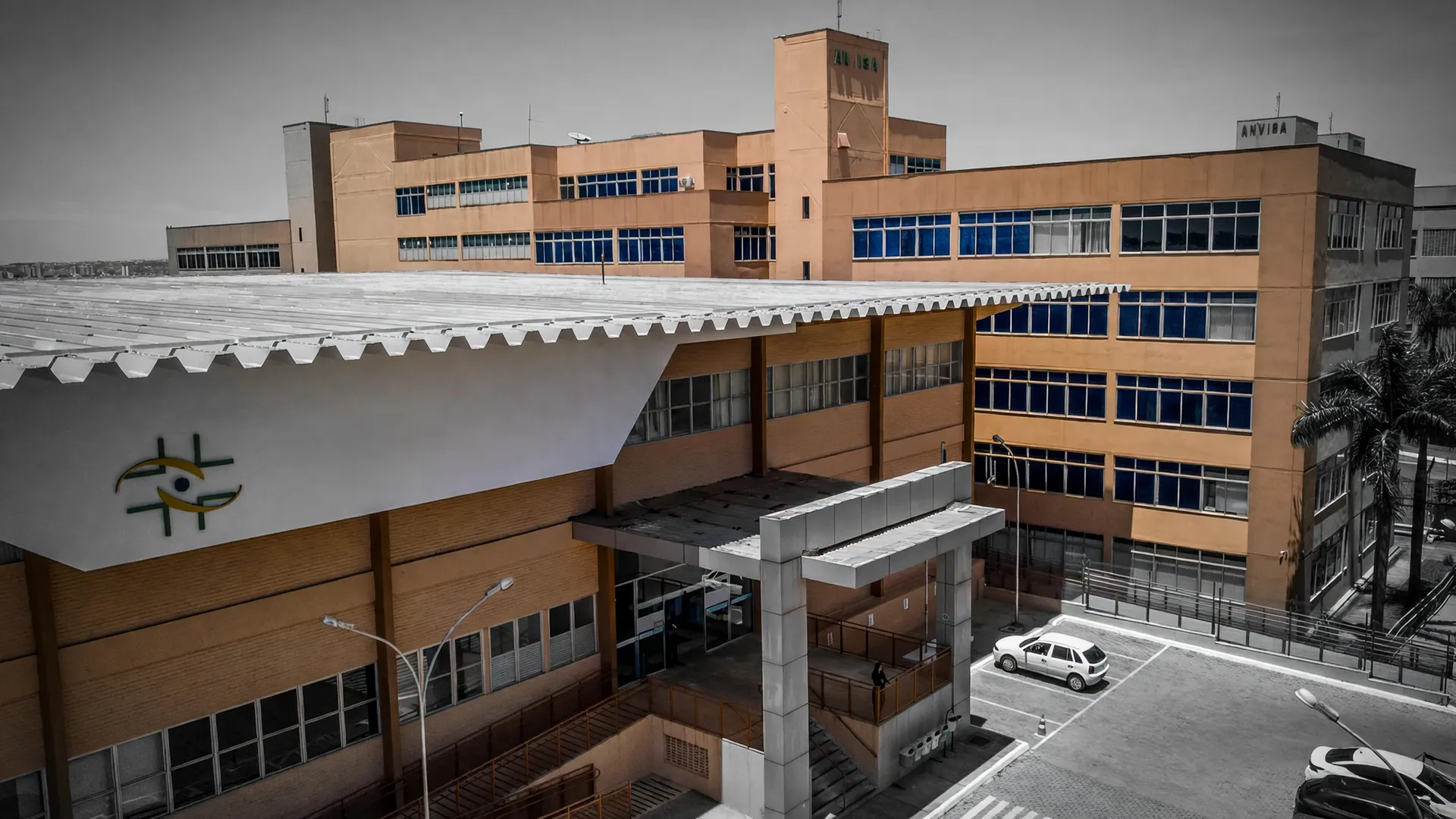 Ação da Anvisa contra alecrim Nati Sul infestado por insetos exige recolhimento da fraude