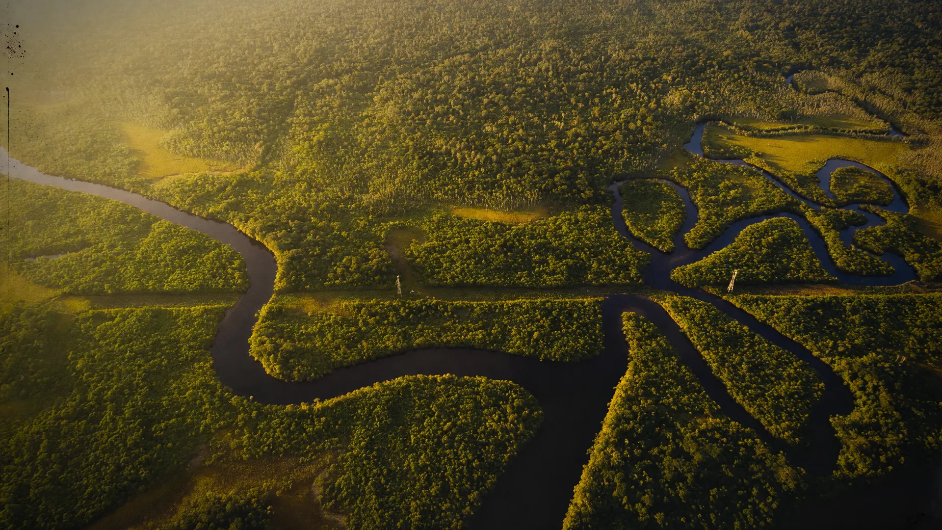 Vista aérea da Amazônia com rios sinuosos na canopia verde, ilustrando queda desmatamento Amazônia 2026