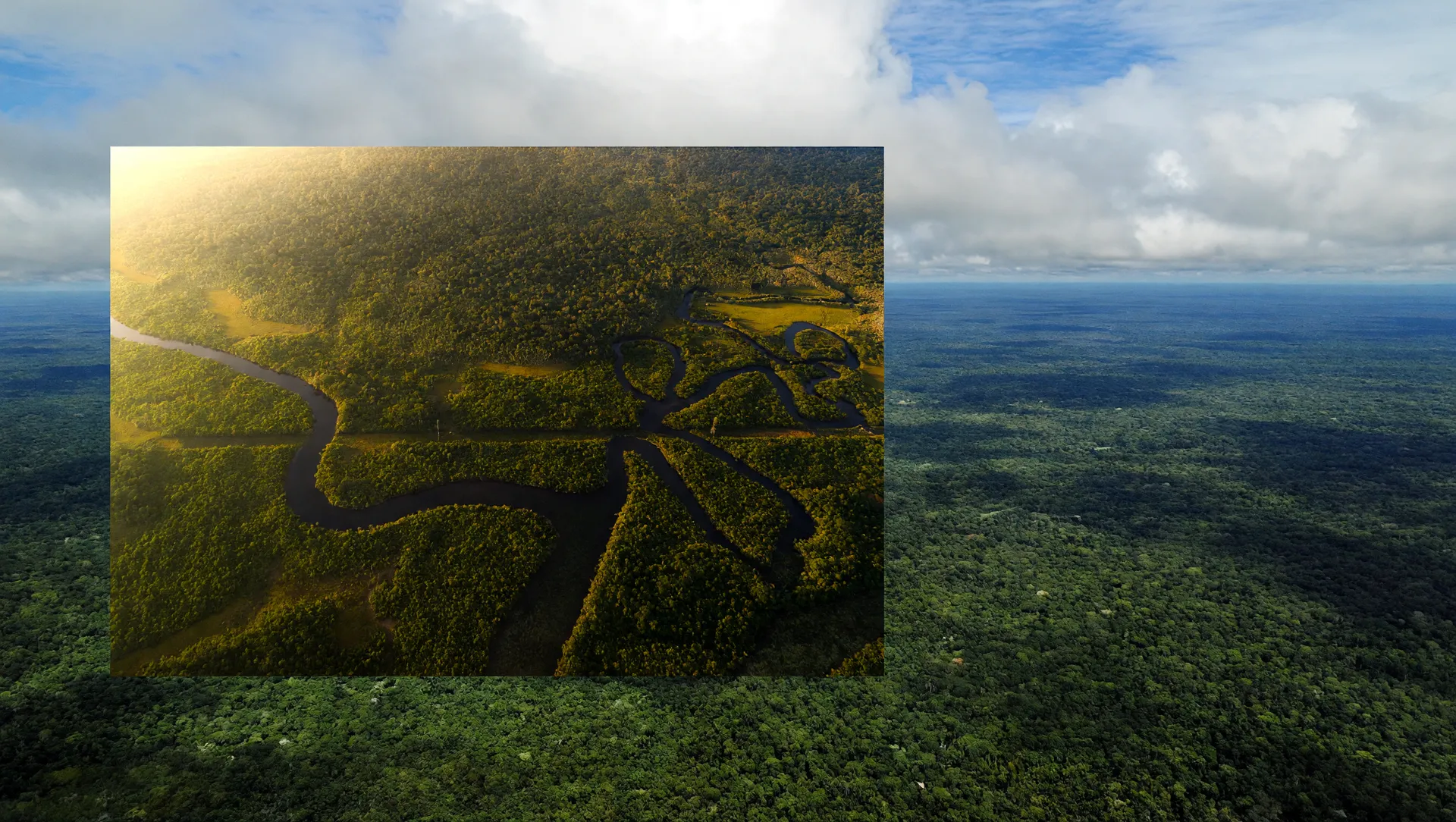 Canopia verde da Amazônia vista de cima, símbolo da queda histórica de desmatamento no Brasil 2025 MapBiomas