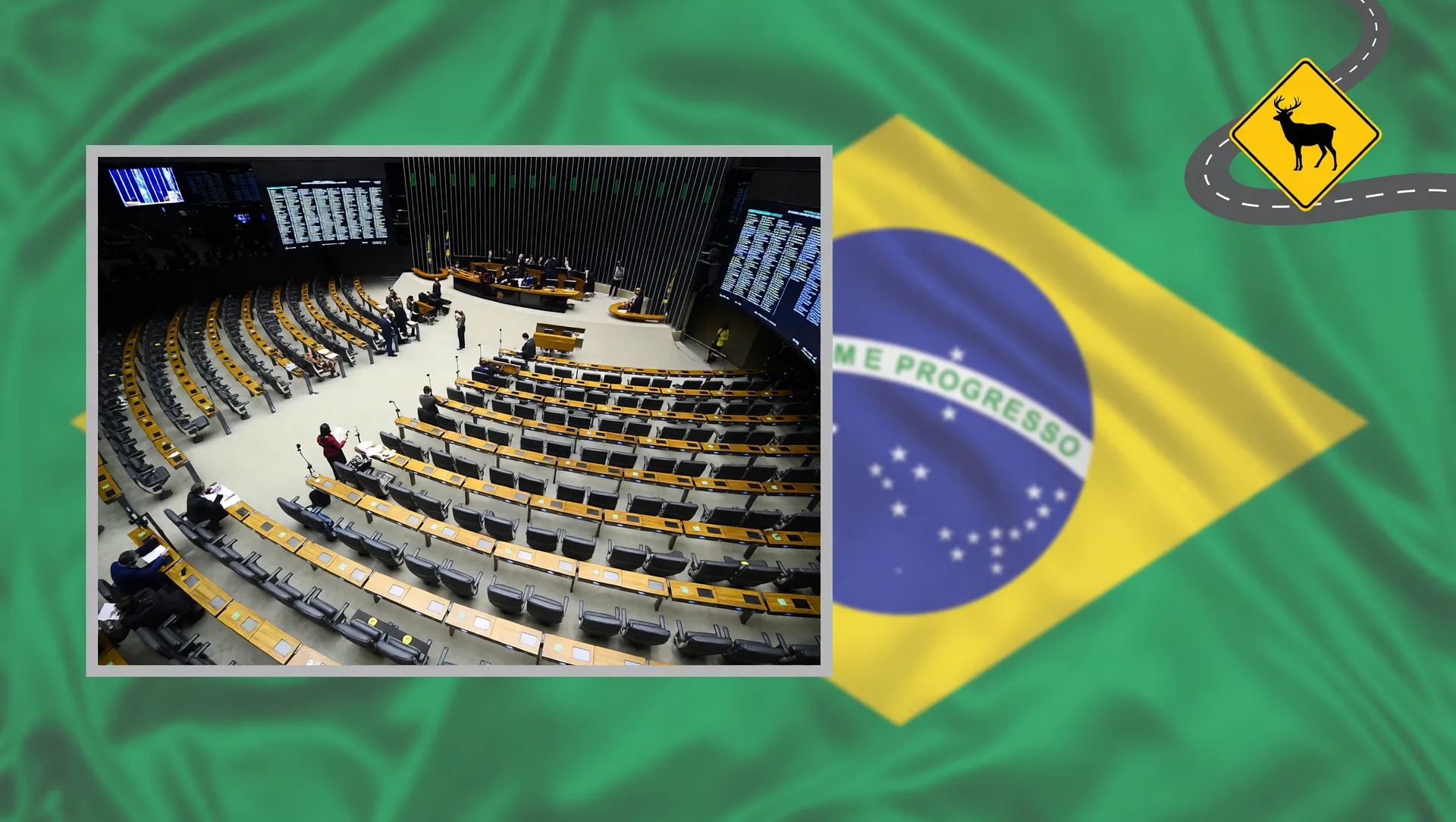 Câmara legislando sobre proteção de fauna silvestre atropelada em rodovias do Brasil
