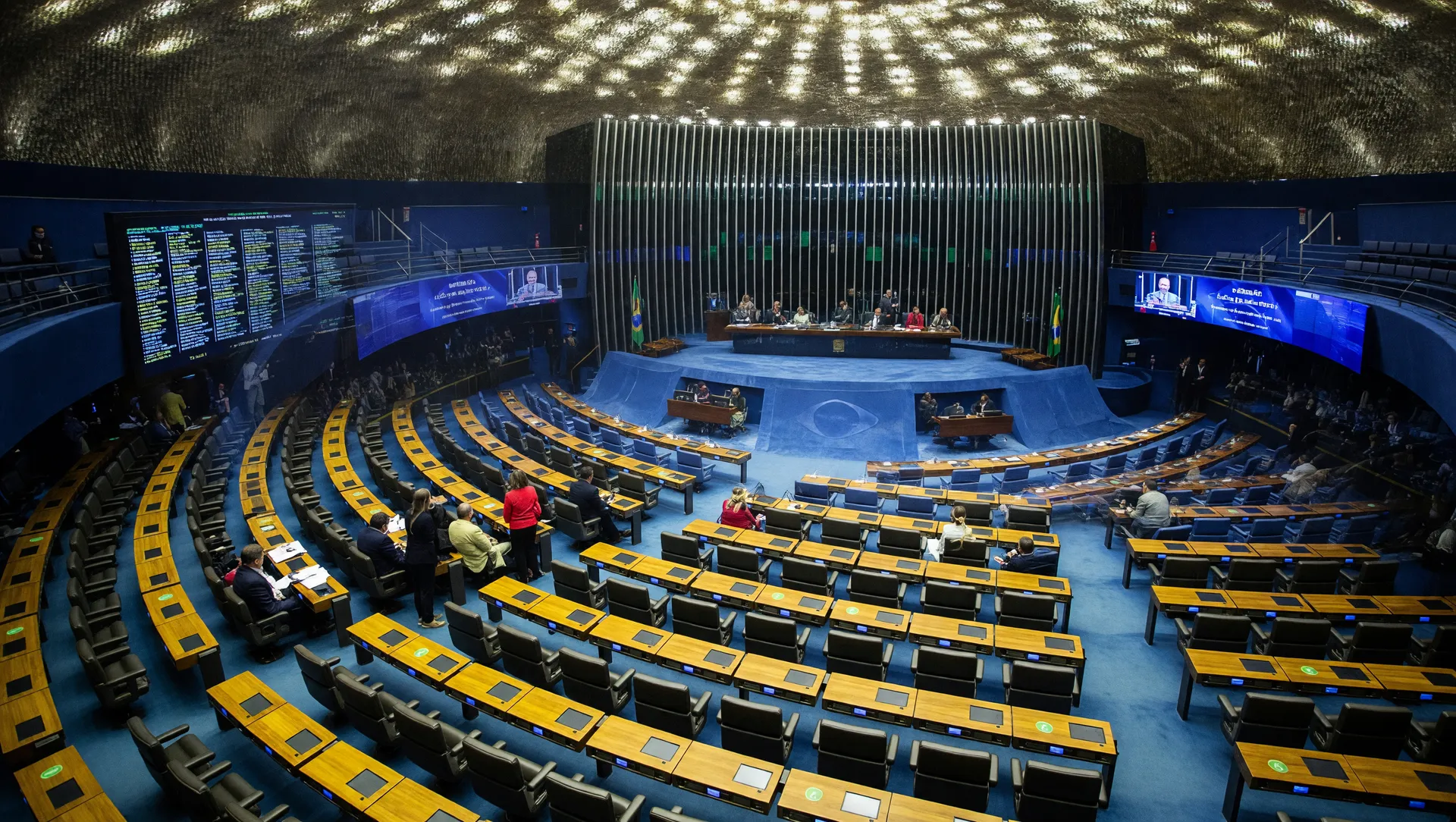 Plenários da Câmara e Senado em debate sobre fiscalização de desmatamento por satélite