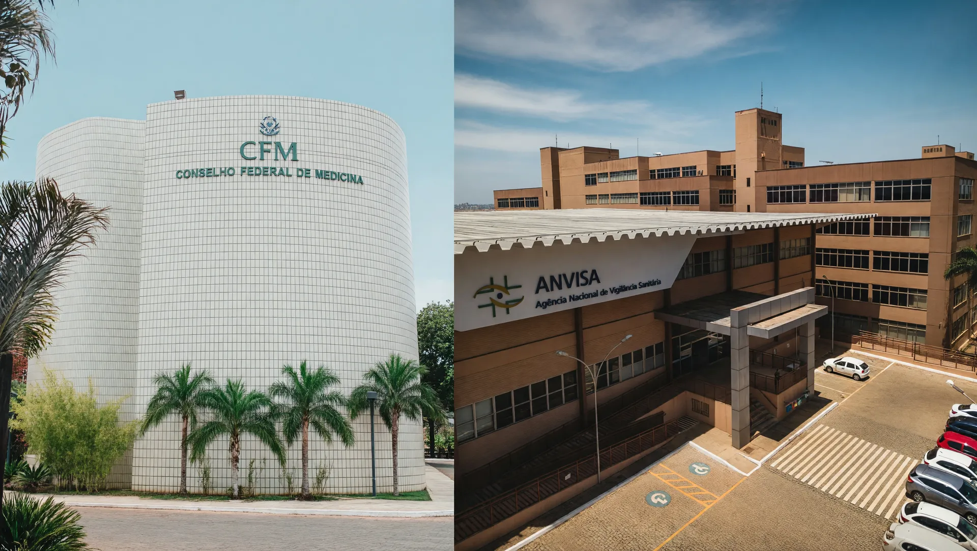 Regulamentação do fenol pelo CFM em contraste com posição da Anvisa sobre fenol estético