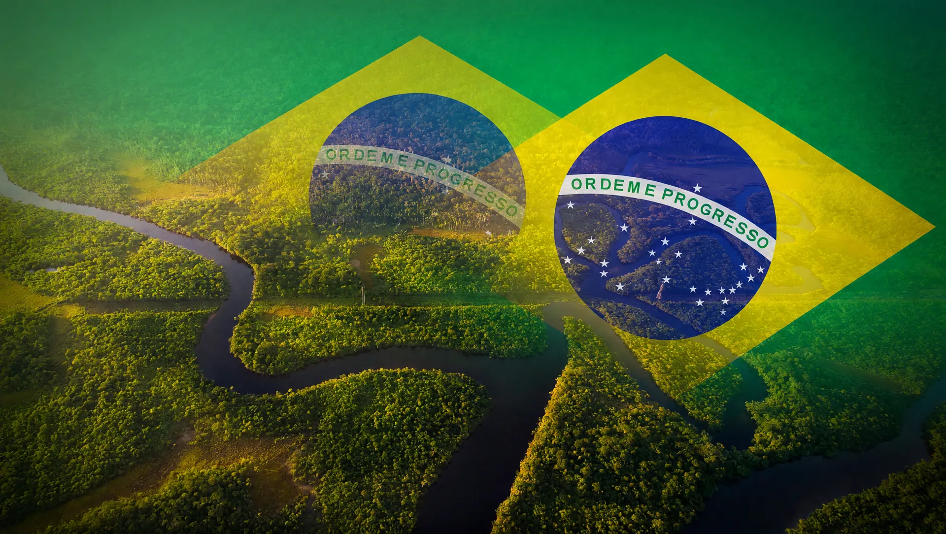 Floresta amazônica vista aérea simbolizando a taxa de homicídios Brasil 2024 e violência regional