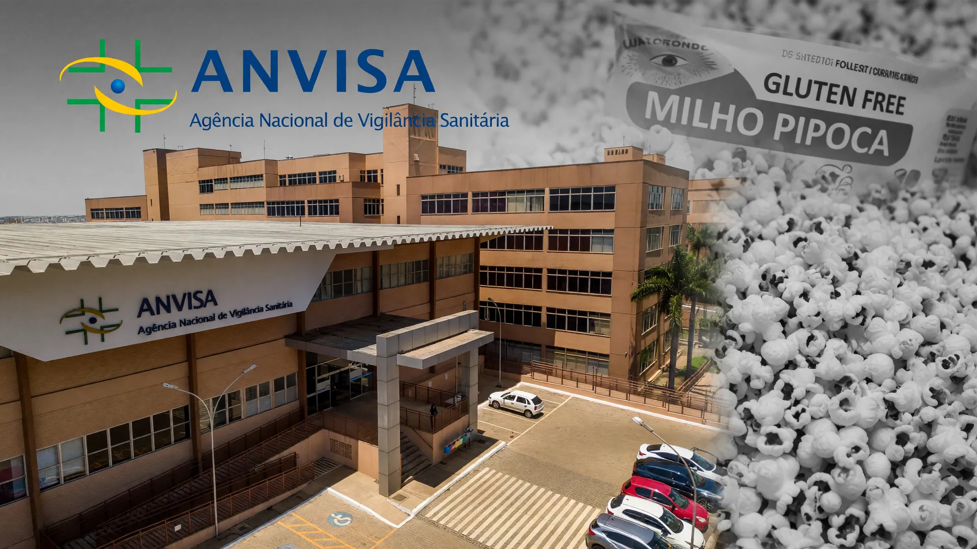 Anvisa em ação: recolhimento de milho pipoca por falha de rótulo de glúten