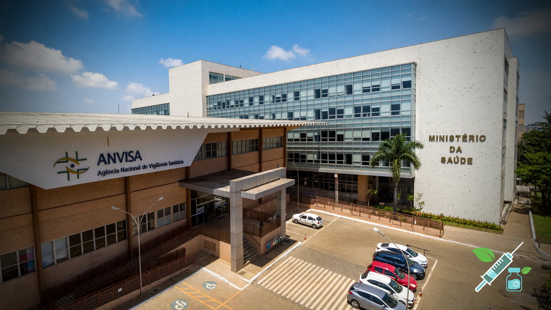 Ministério da Saúde e Anvisa investigam próximos passos vacina dengue Butantan