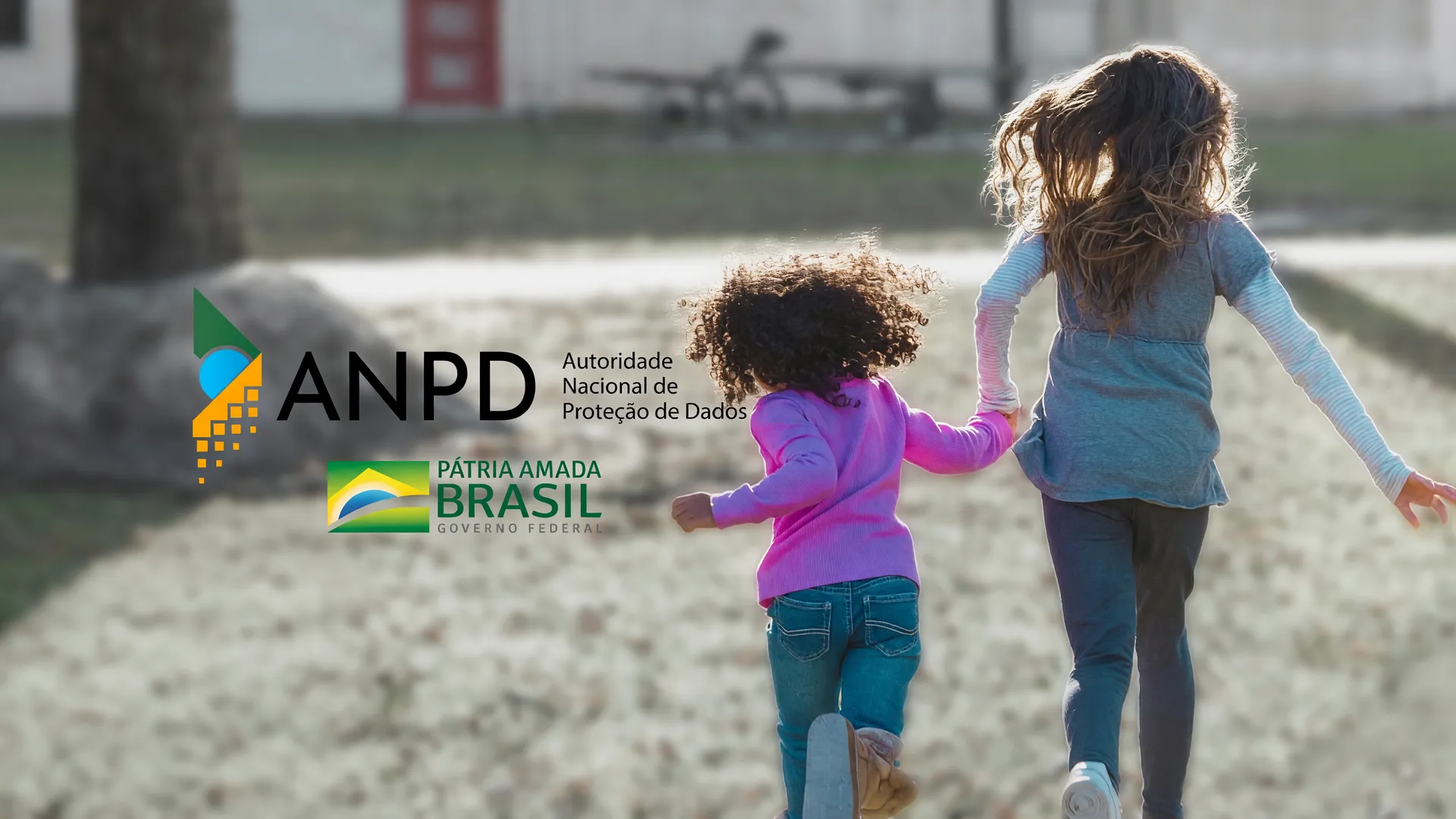 ANPD em ação: verificação de idade em sites pornográficos para proteção infantil