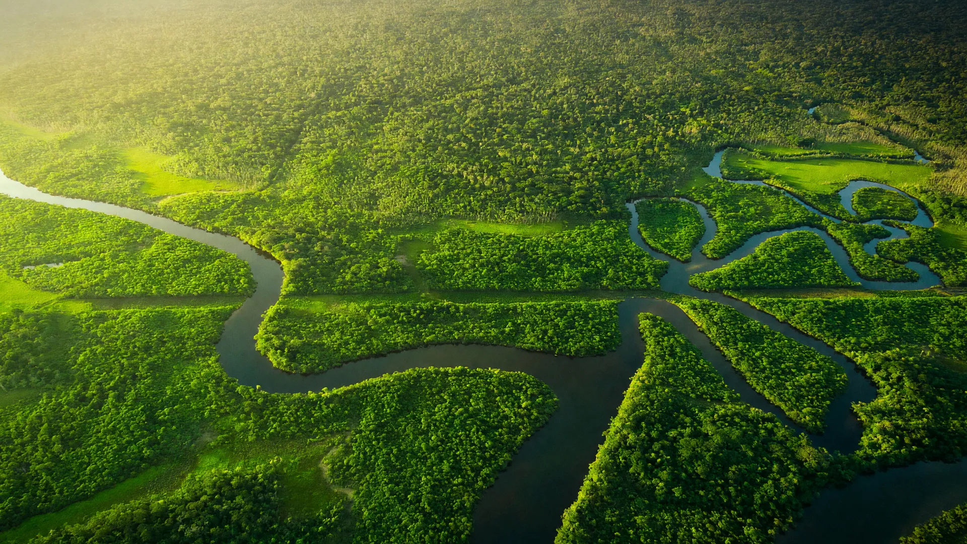 Amazônia vista aérea com rios sinuosos, vegetação vibrante, refletindo redução dos alertas de desmatamento Amazônia 2026