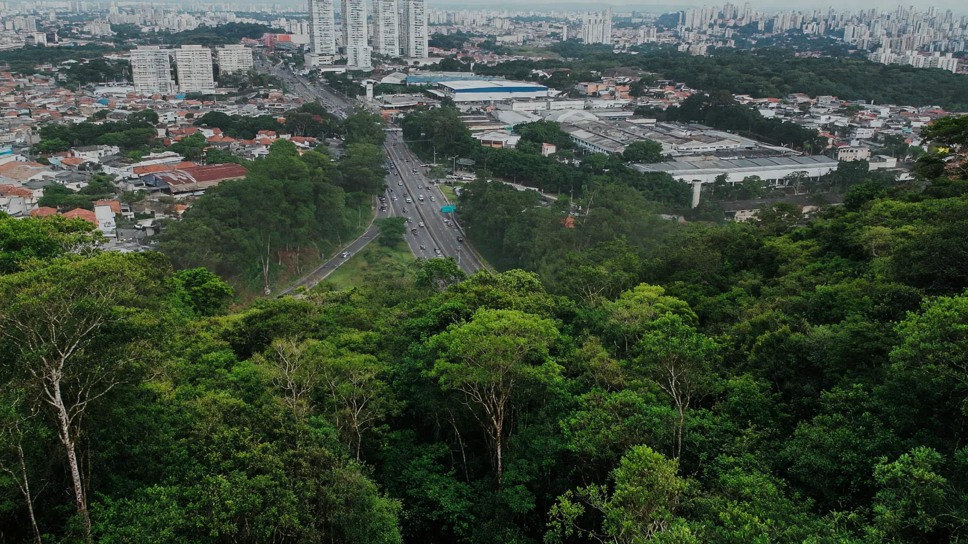 Mata Atlântica do Butantã confrontada pela expansão urbana: conflito ambiental do centro TEA em São Paulo