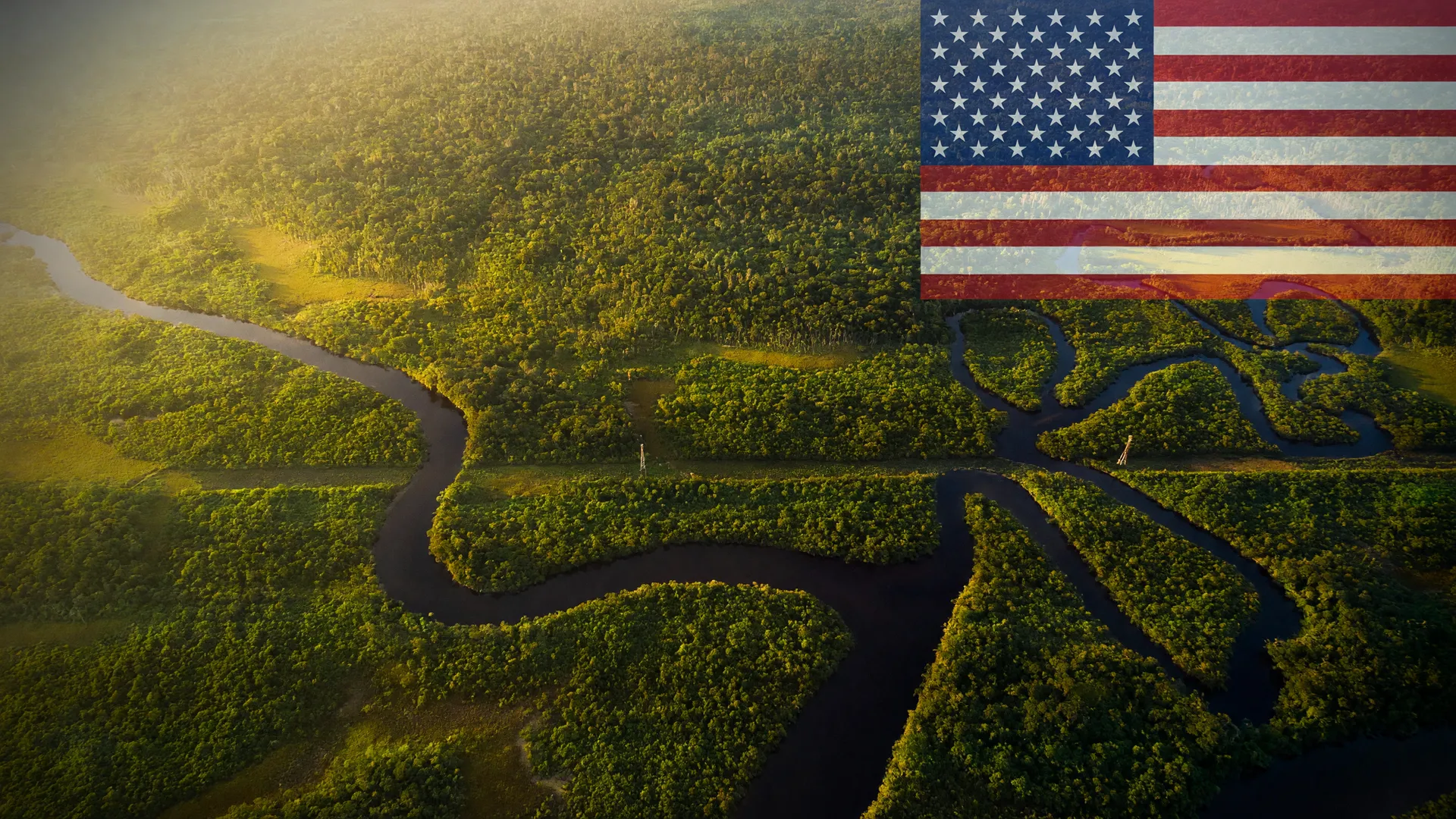 Floresta amazônica intacta ilustra a disputa sobre desmatamento no Brasil e o tarifaço dos EUA