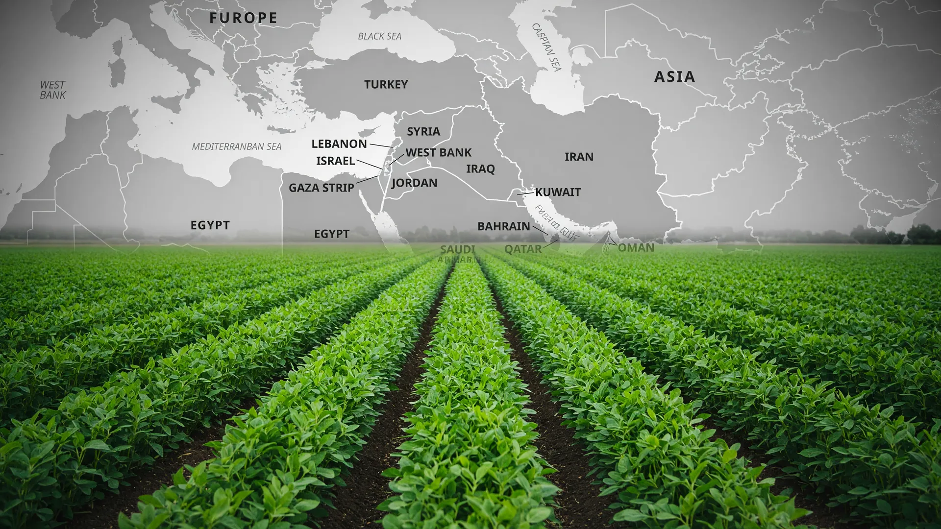 Falta de enxofre no Brasil afeta fertilizantes, com soja em destaque e crise no Oriente Médio ao fundo.