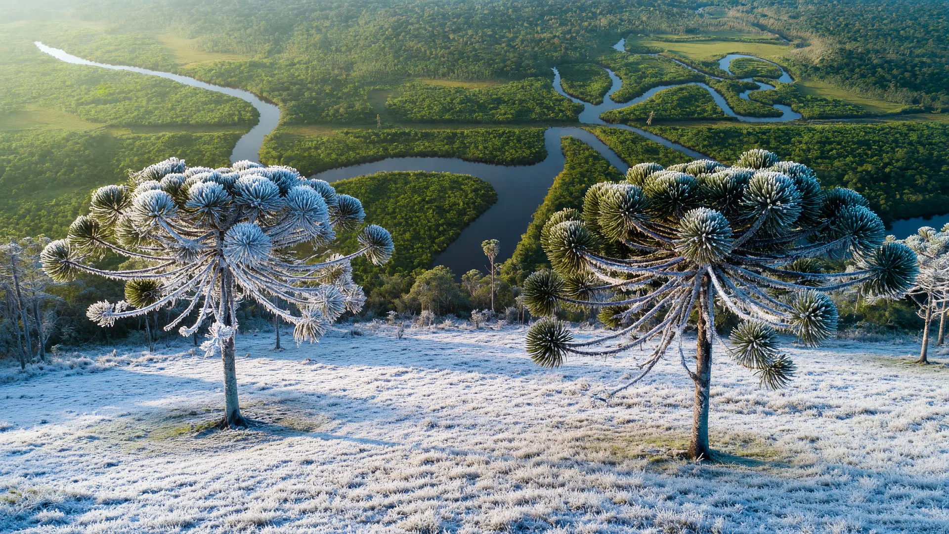 Paisagem do Sul com geada e temperaturas negativas trazidas por massa polar; Amazônia sob friagem extrema