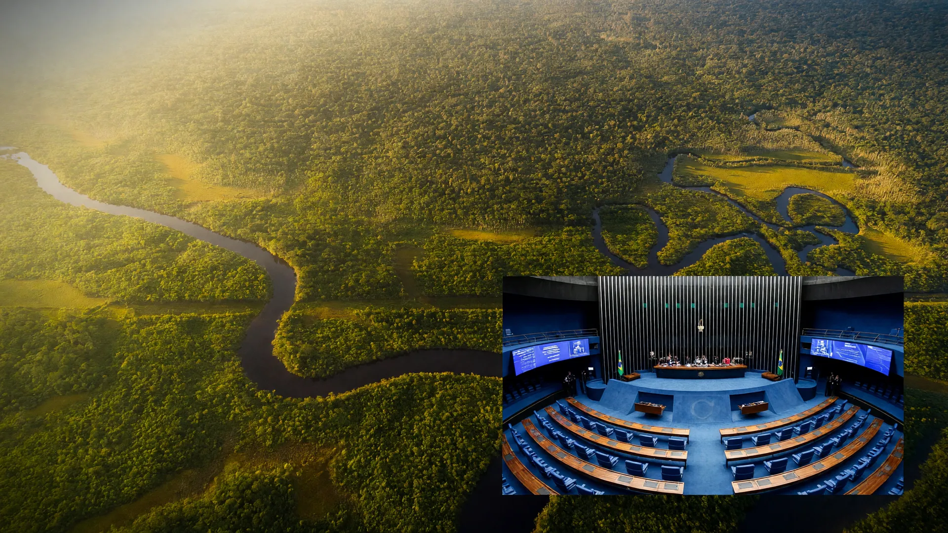 Plenário do Senado Federal e floresta amazônica ilustram a redução da Floresta do Jamanxim no Pará