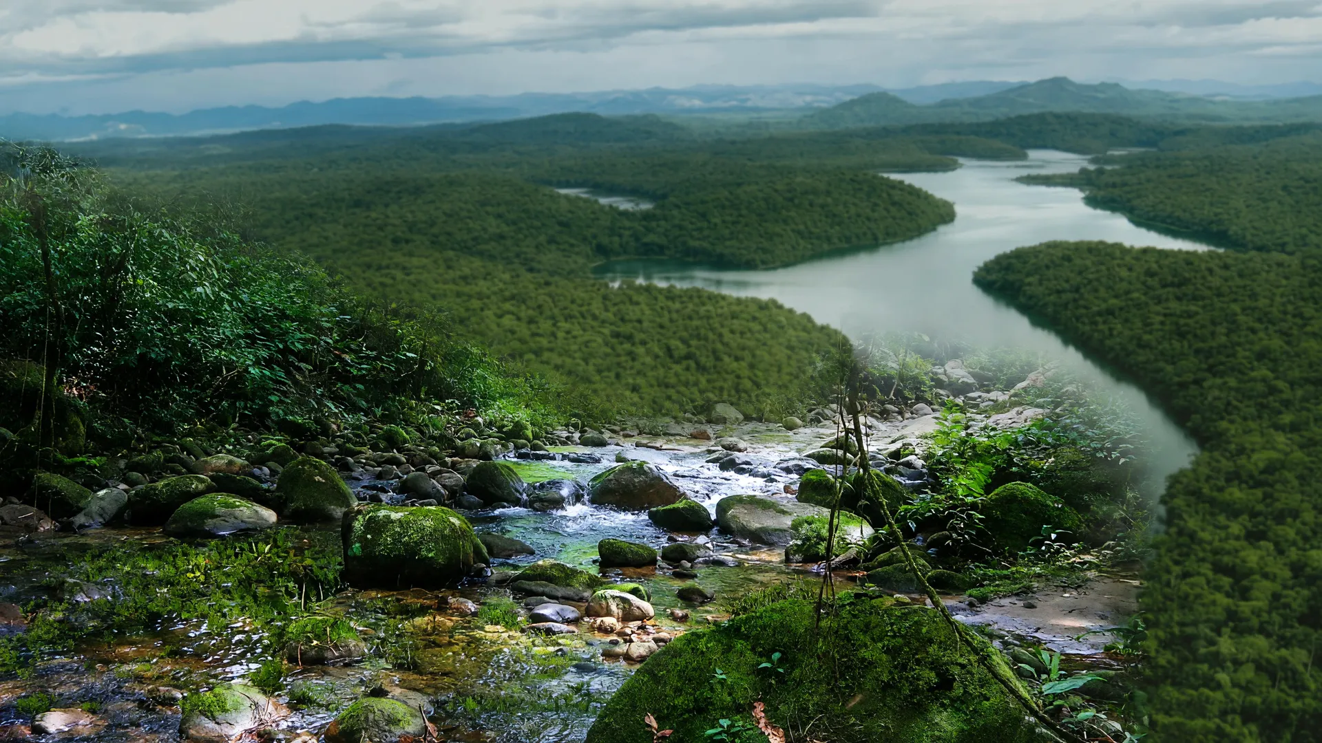 Floresta densa e riacho simbolizam a restauração da Mata Atlântica no RJ, unindo pesquisa e recuperação ambiental.