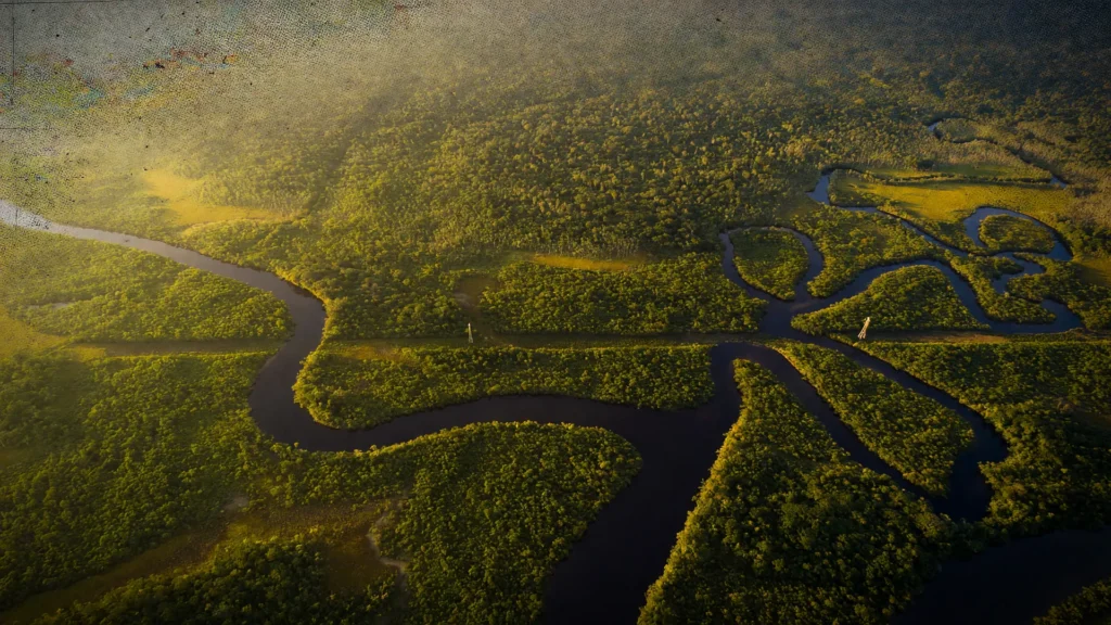 Floresta amazônica vista do alto ilustra estudo sobre zonas de transferência de sementes e clima futuro
