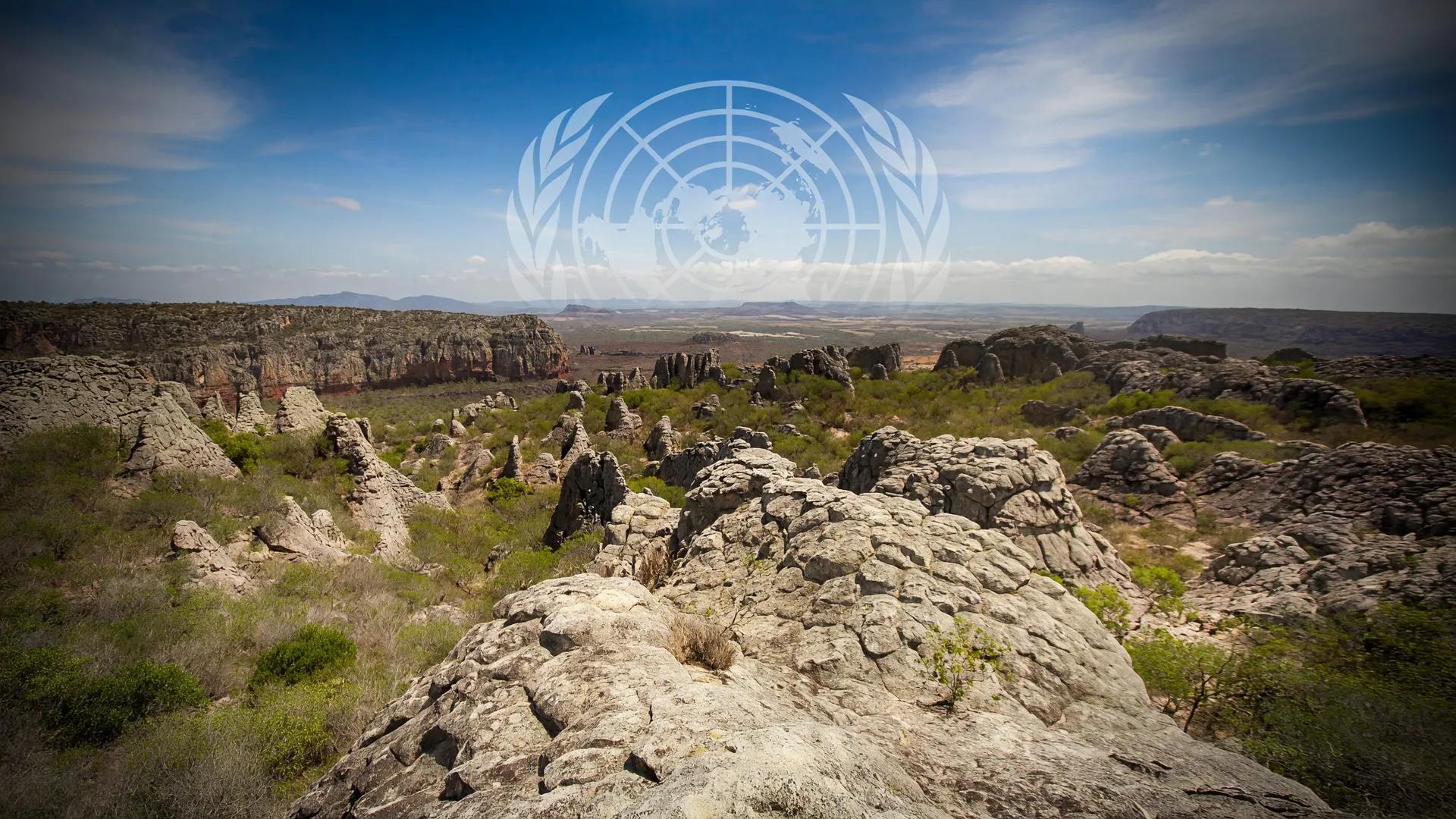 Paisagem árida da Caatinga com emblema da ONU ao fundo, evocando o financiamento do combate à desertificação