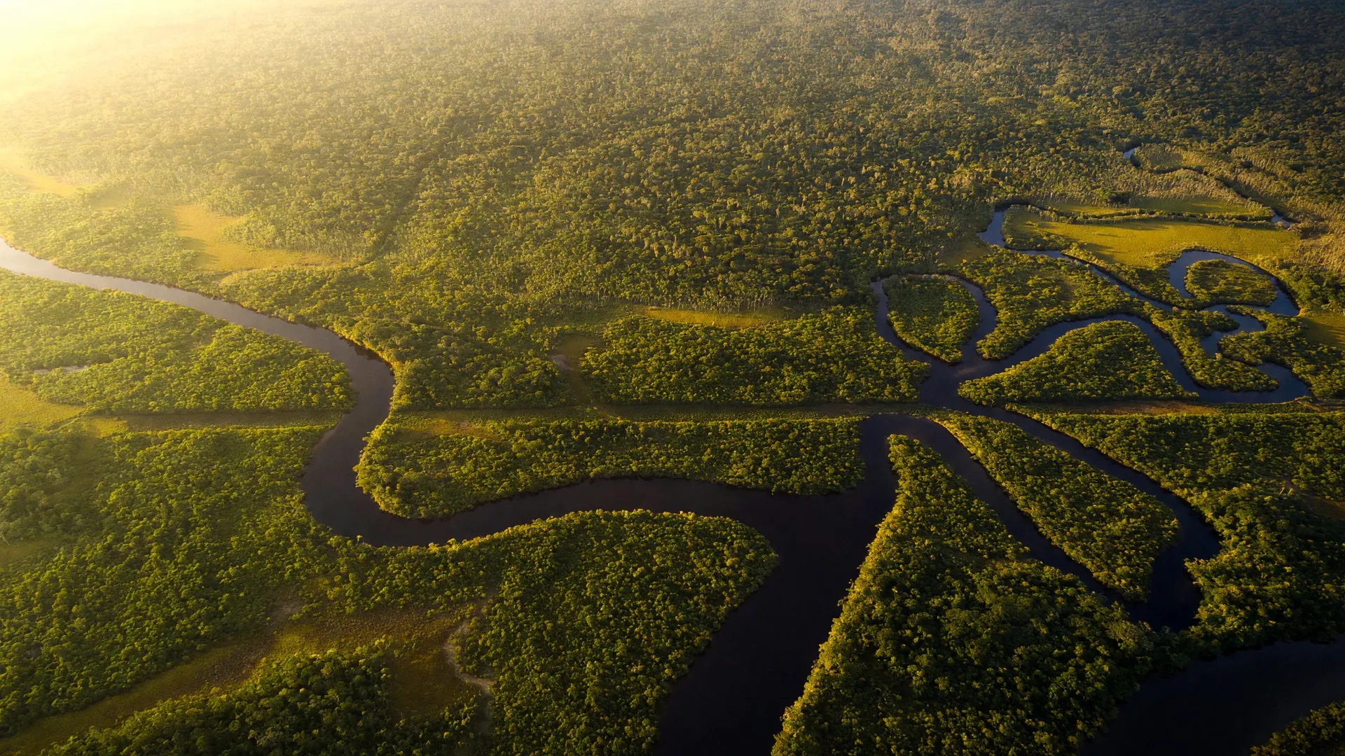 Vista aérea da Amazônia com rios sinuosos e floresta exuberante, símbolo do menor desmatamento na Amazônia desde 2013