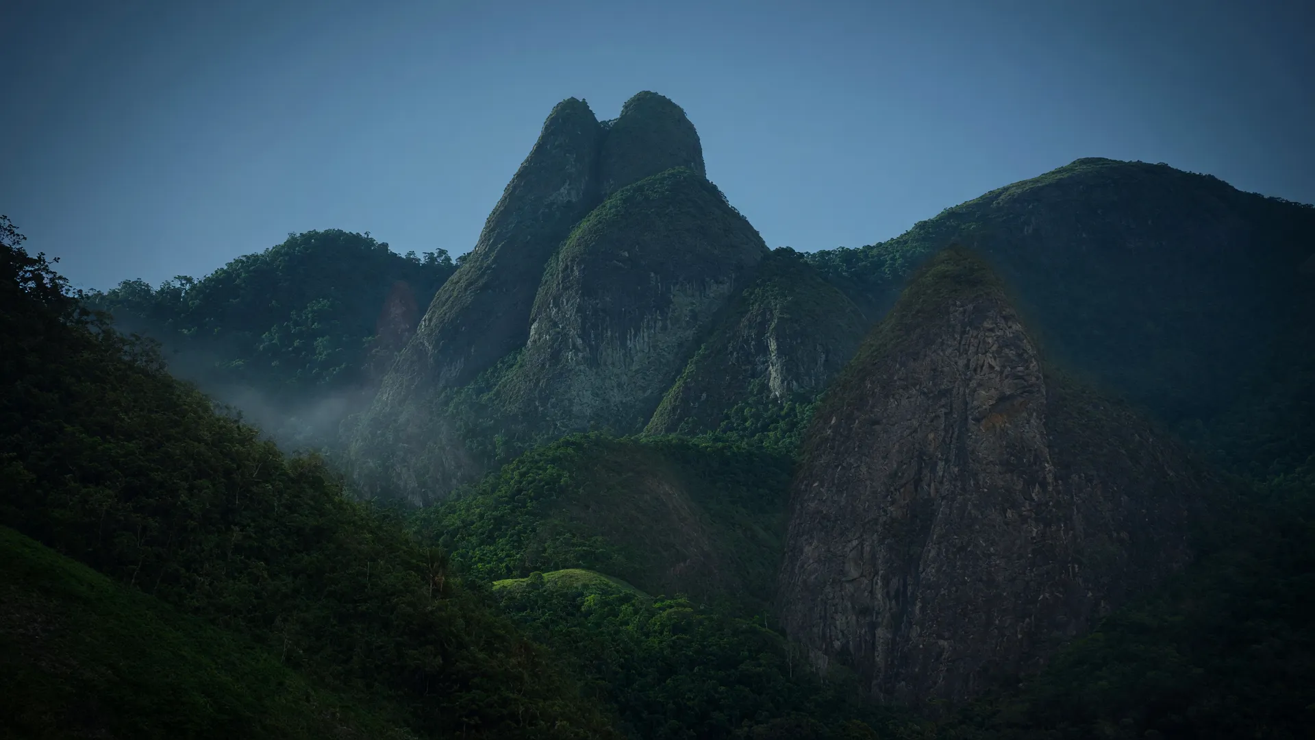 Picos da Serra das Torres emergindo da Mata Atlântica densa, onde foi feita nova espécie de planta descoberta
