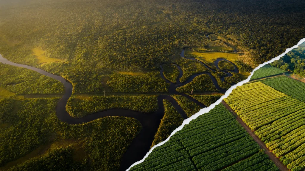 Vista aérea da Amazônia contrastada com lavoura de soja, simbolizando a perda de vegetação nativa no Brasil