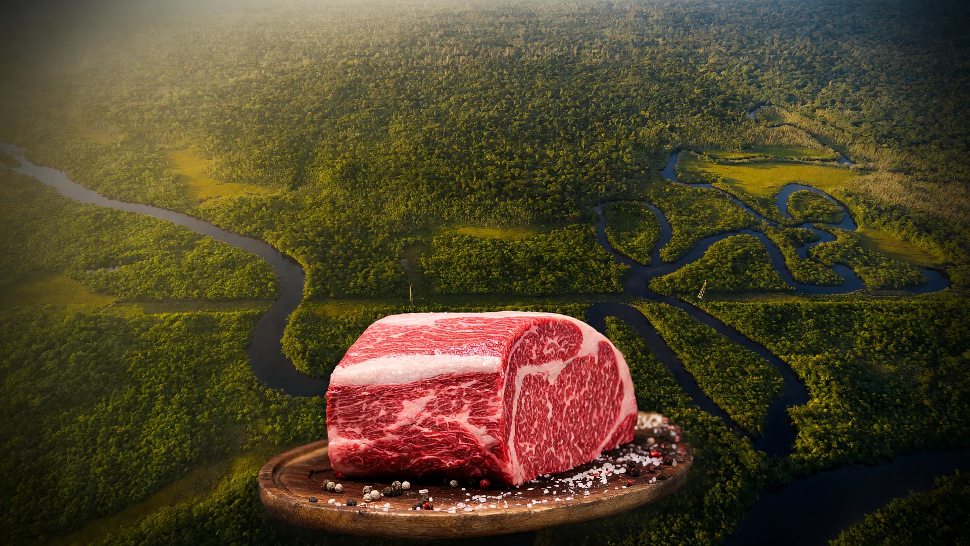 Vista aérea da Amazônia com corte de carne em destaque, simbolizando a rastreabilidade do gado no Pará