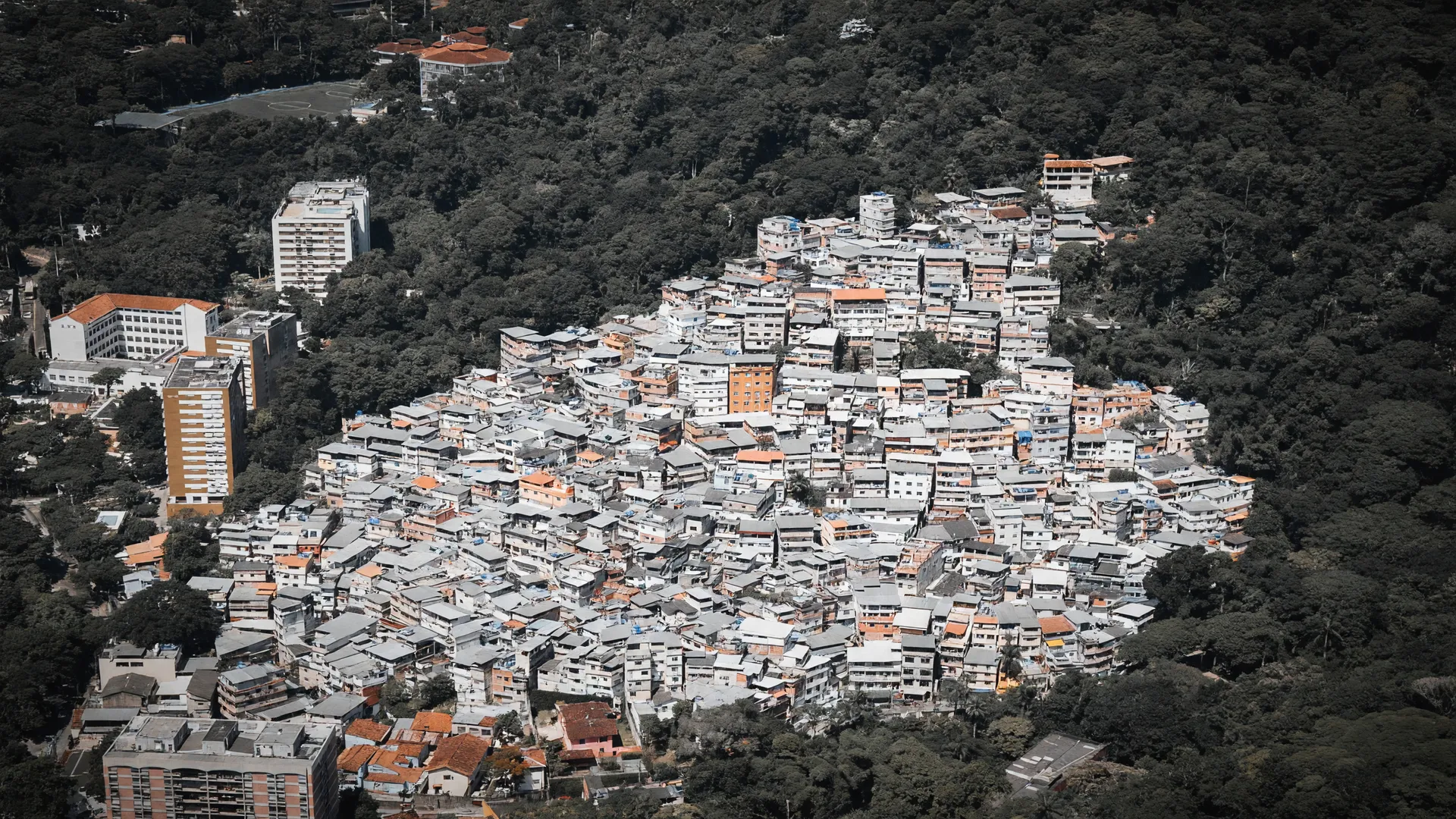 Favela carioca densamente construída em morro com pouca arborização, retratando a urbanização de favelas do Rio
