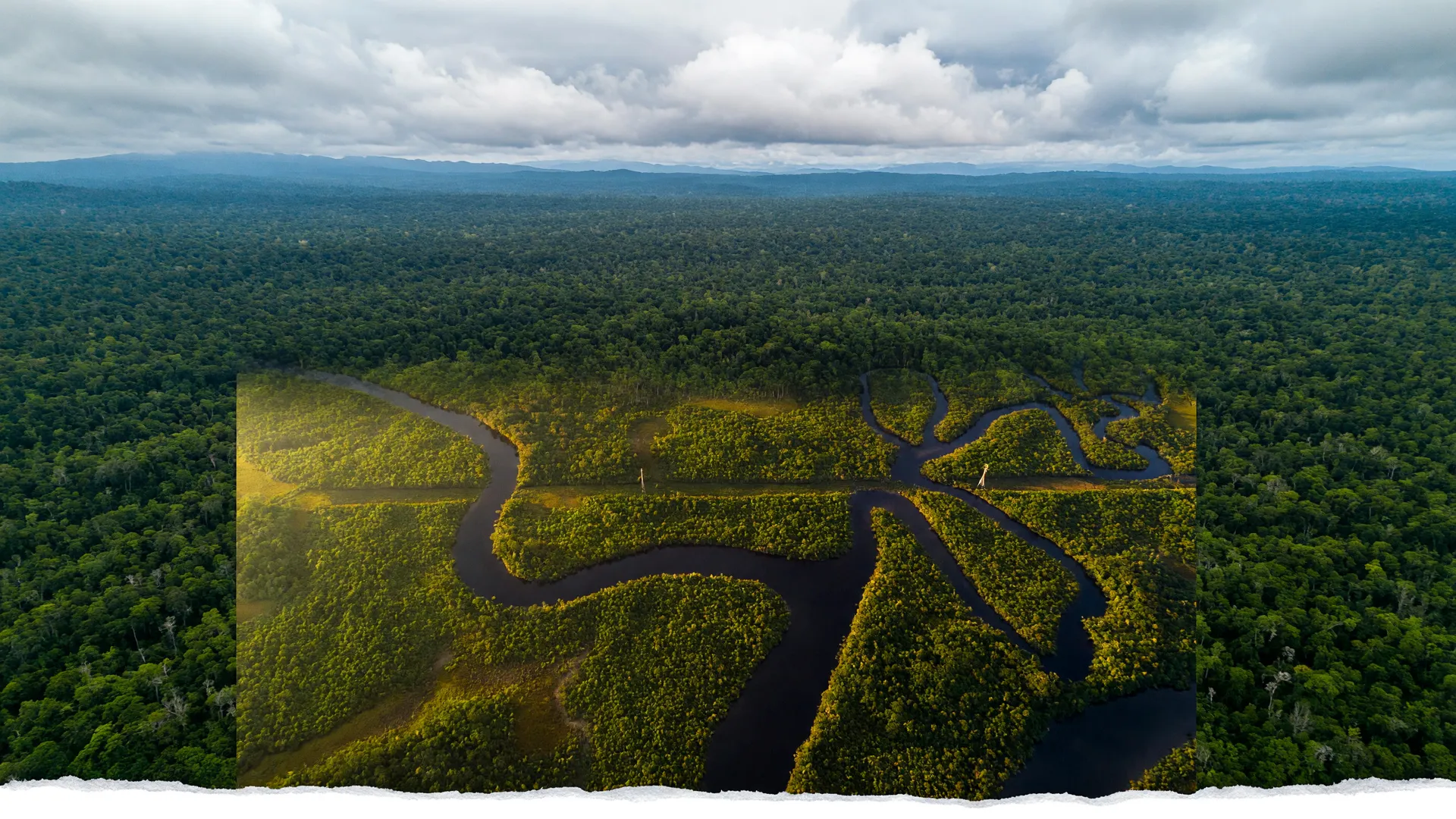 Vista aérea da floresta amazônica ilustra o desmatamento na Amazônia 2026, com rios sinuosos cortando a vegetação densa.