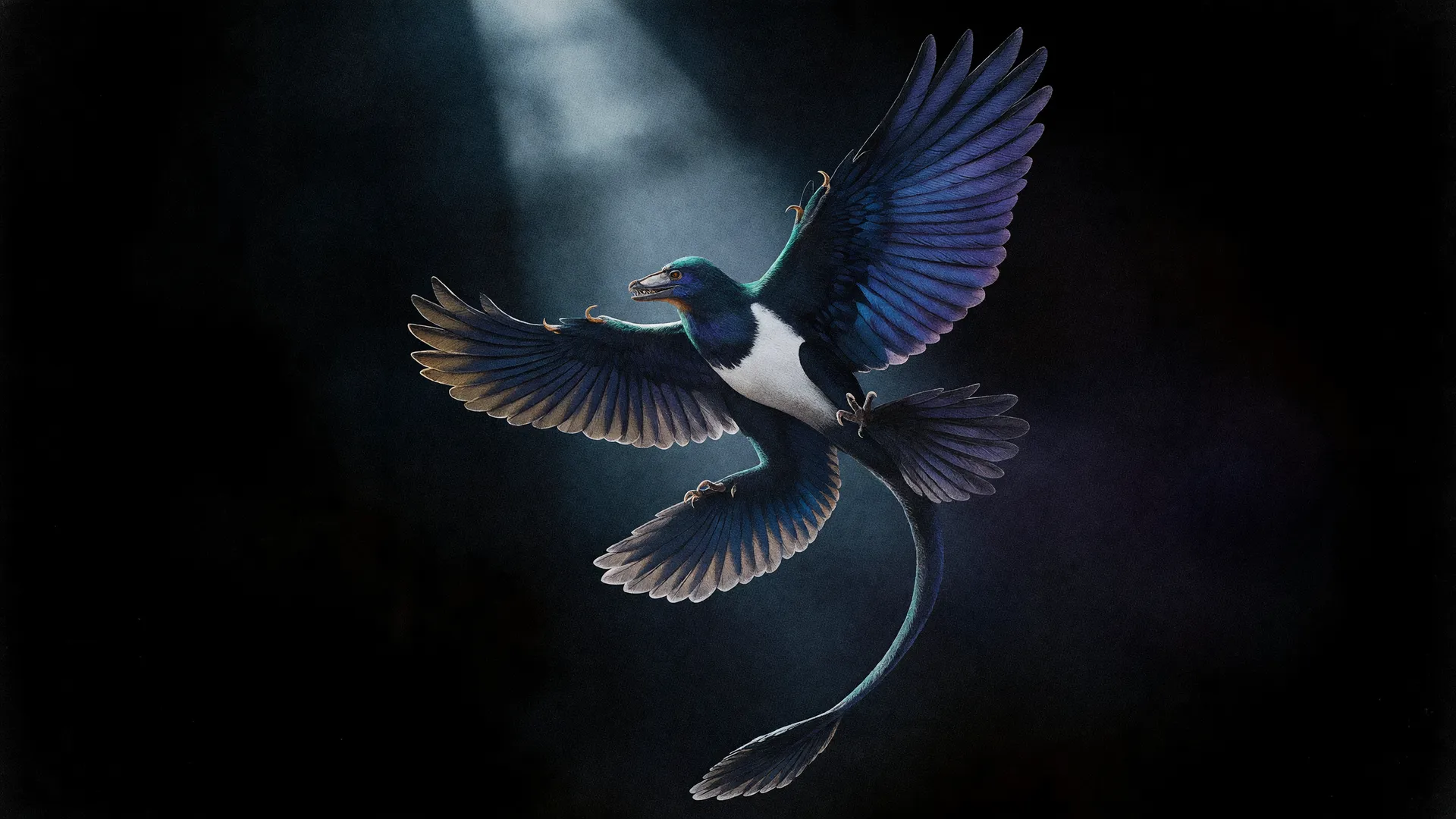 Dinossauro com penas na China: o Norellraptor barsboldi em voo, plumagem azul-esverdeada iridescente