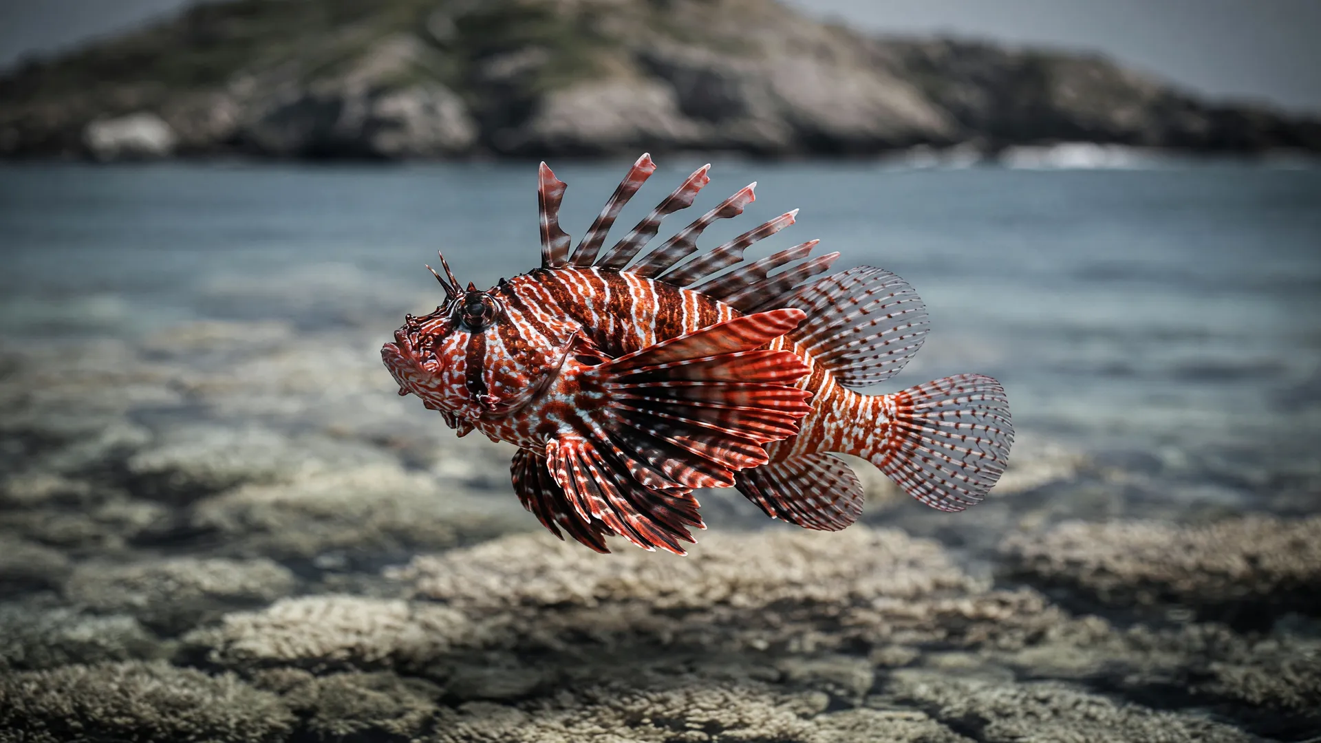 Peixe-leão nos recifes de Abrolhos representa a invasão do peixe-leão na Bahia, ameaça à fauna marinha nativa