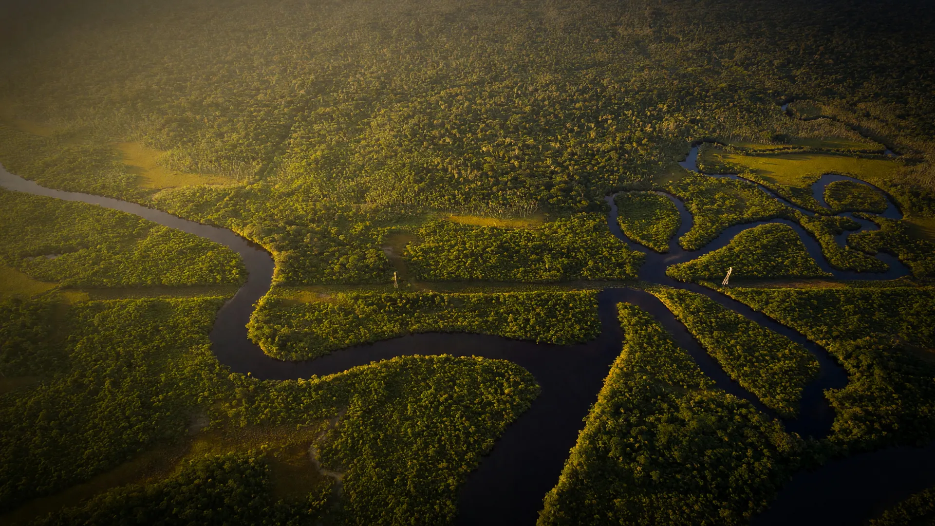 Vista aérea da Amazônia representa o habitat do peixe das nuvens ameaçado extinção no Amapá