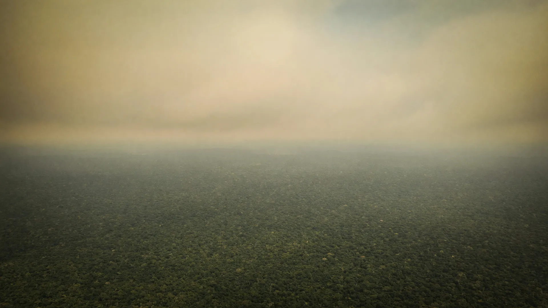 Fumaça densa cobre a floresta amazônica, retratando a péssima qualidade do ar em Manaus por queimadas.