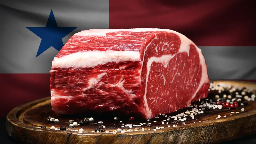 Corte de carne bovina com bandeira do Pará ao fundo, representando a rastreabilidade do gado no Pará