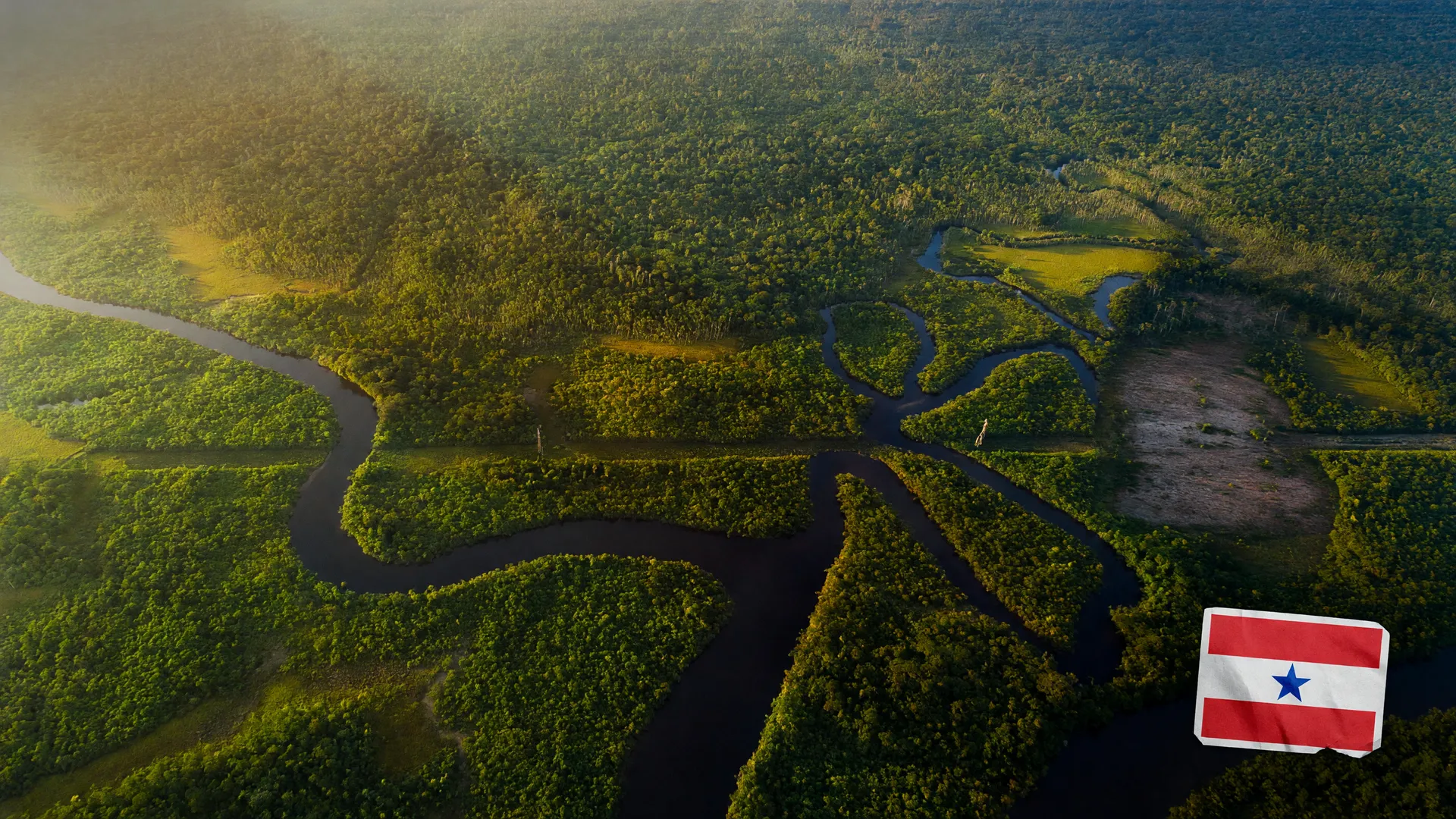 Vista aérea da Amazônia com área desmatada no Pará, ilustrando a redução da Flona do Jamanxim que abre subsolo à mineração.