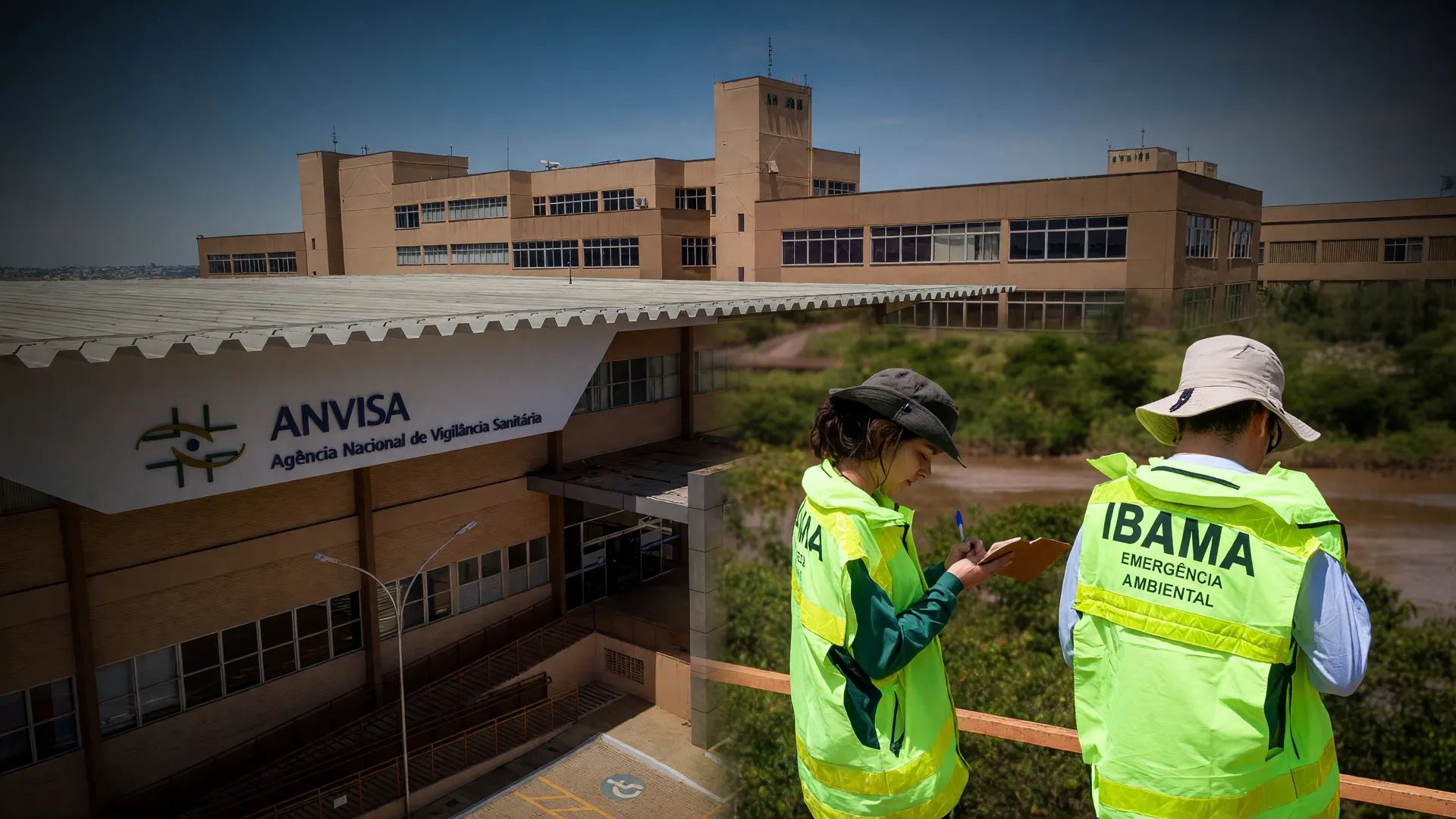 Decisão judicial ordena suspensão de registros de glifosato; Anvisa e Ibama devem avaliar riscos do agrotóxico