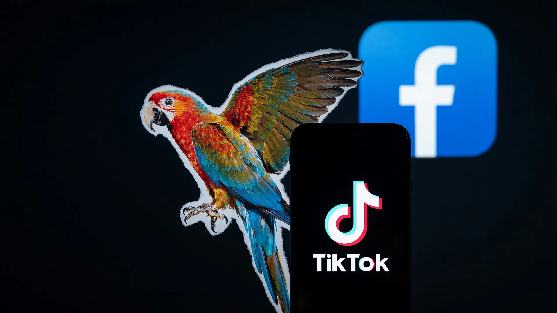 Logotipos do Facebook e TikTok com animais silvestres sobrepostos, evocando o tráfico de espécies silvestres online