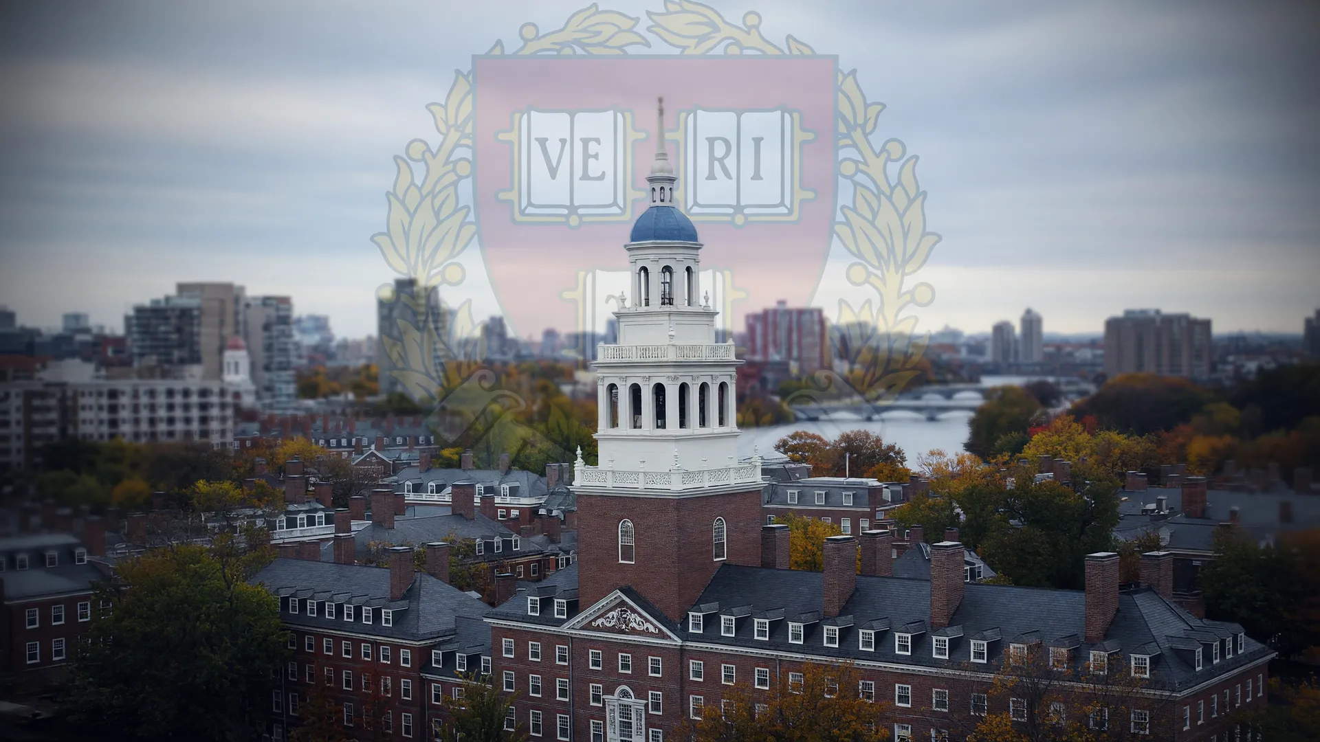 Campus da Harvard Medical School, onde pesquisador brasileiro liderou estudo sobre xenotransplante de rim de porco