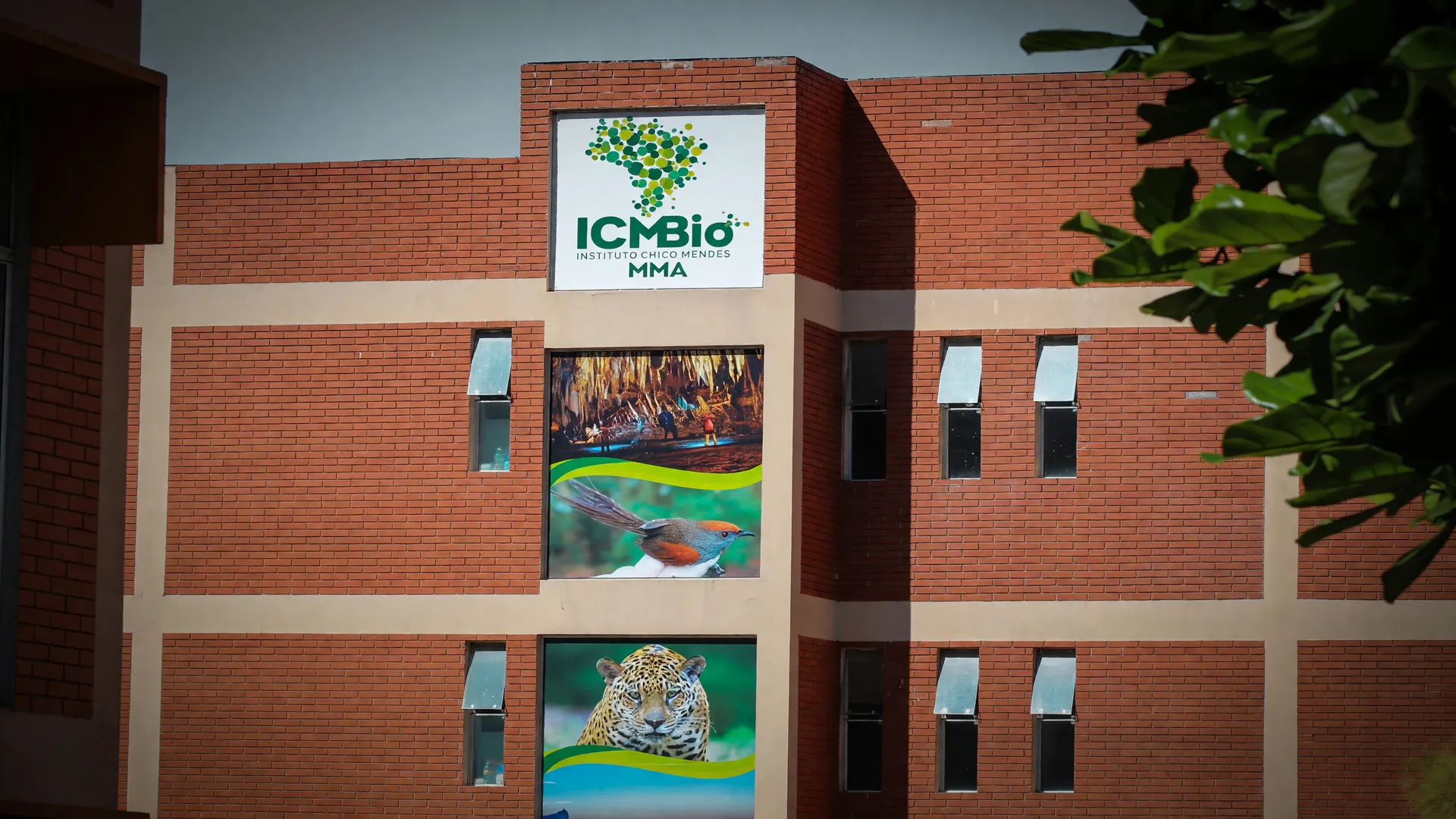 Fachada do ICMBio com banners de fauna, ilustrando como a Ascema critica propostas Flávio Bolsonaro para o meio ambiente