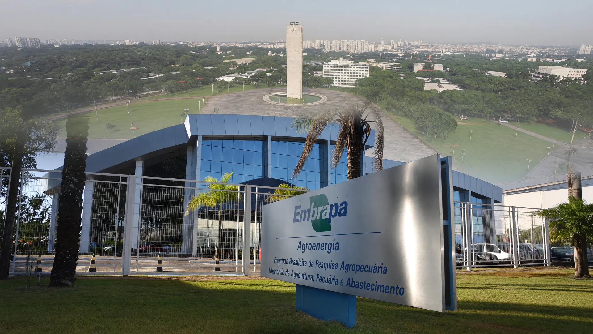 Embrapa e USP unem forças na pesquisa com bactérias contra podridão no trigo, protegendo lavouras brasileiras.