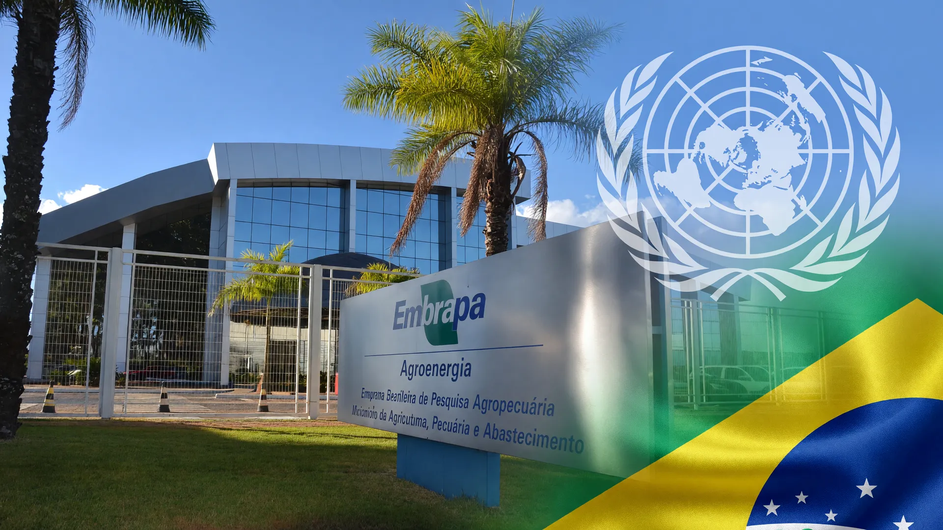 Prédio da Embrapa, bandeira do Brasil e emblema da ONU representam o centro de referência florestas plantadas