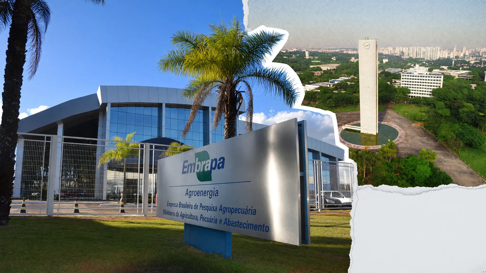 Prédios da Embrapa e da USP em colagem sobre pesquisa de controle biológico no trigo com bactérias