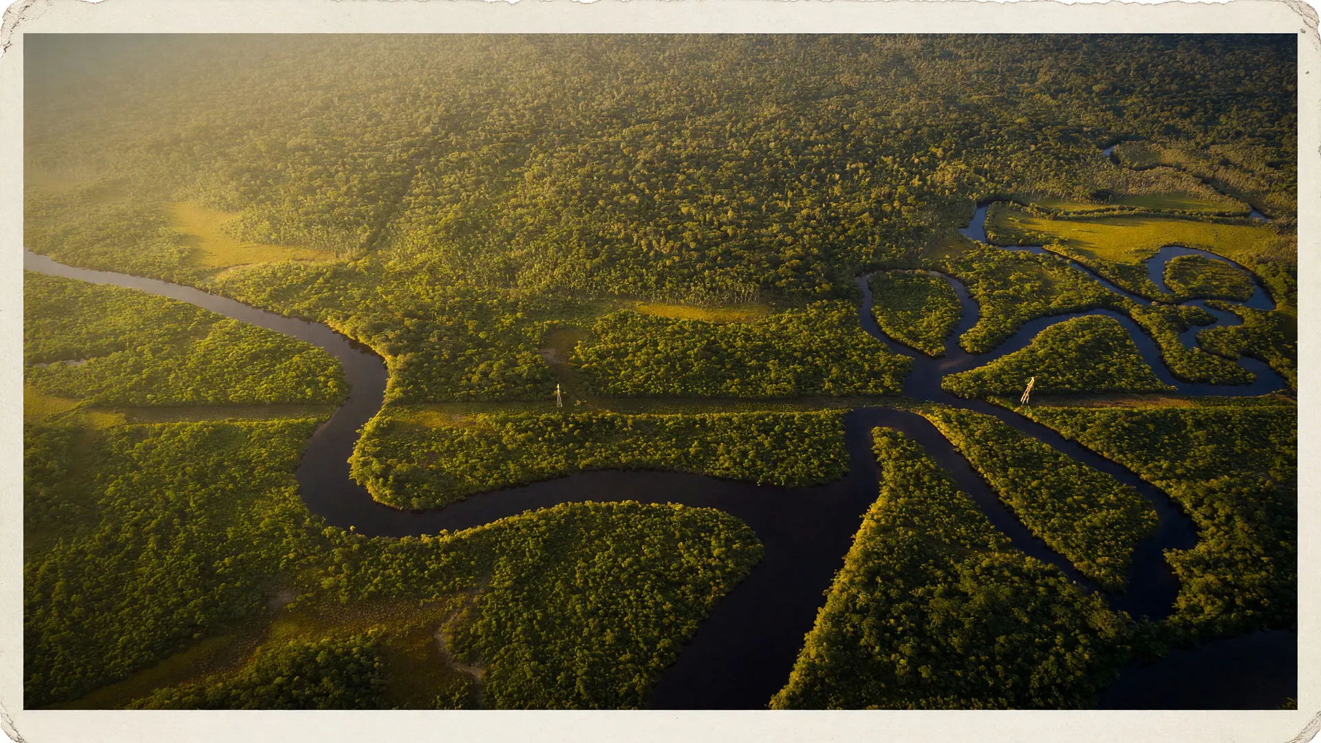 Floresta amazônica vista do alto simboliza a demarcação terra indígena Borari, ainda pendente em Alter do Chão