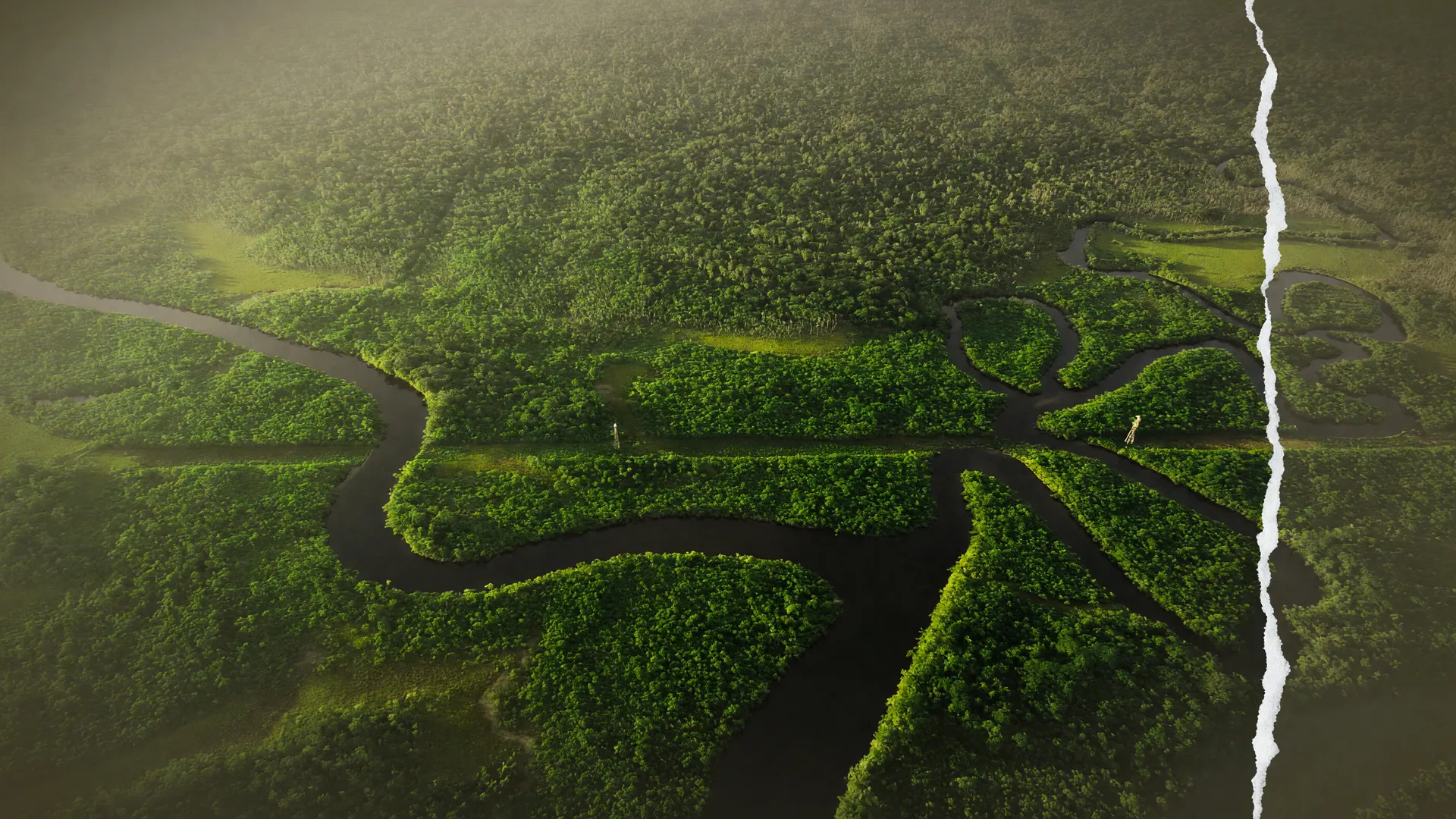 Vista aérea da floresta amazônica com rios sinuosos, ilustrando o desmatamento em áreas úmidas da Amazônia