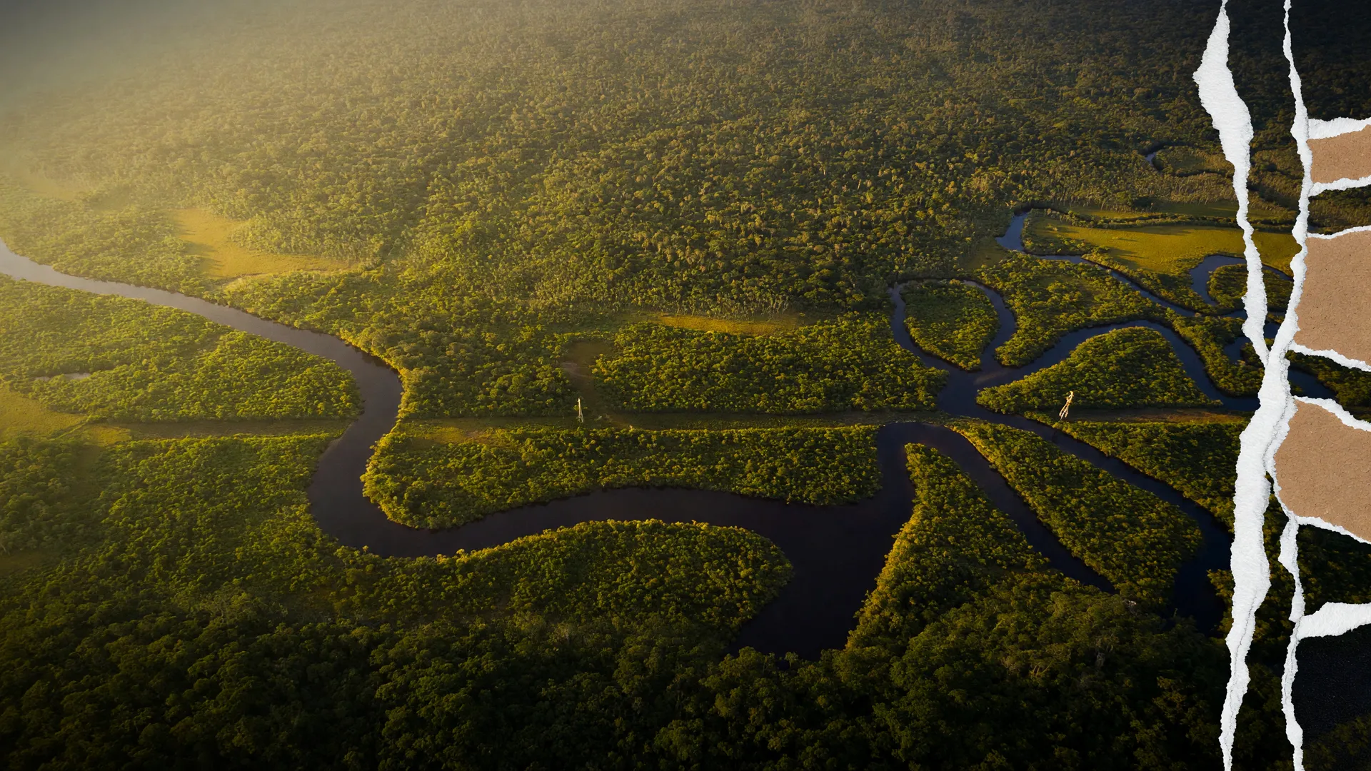 Vista aérea da floresta amazônica com rios sinuosos, simbolizando o desmatamento e voto na Amazônia