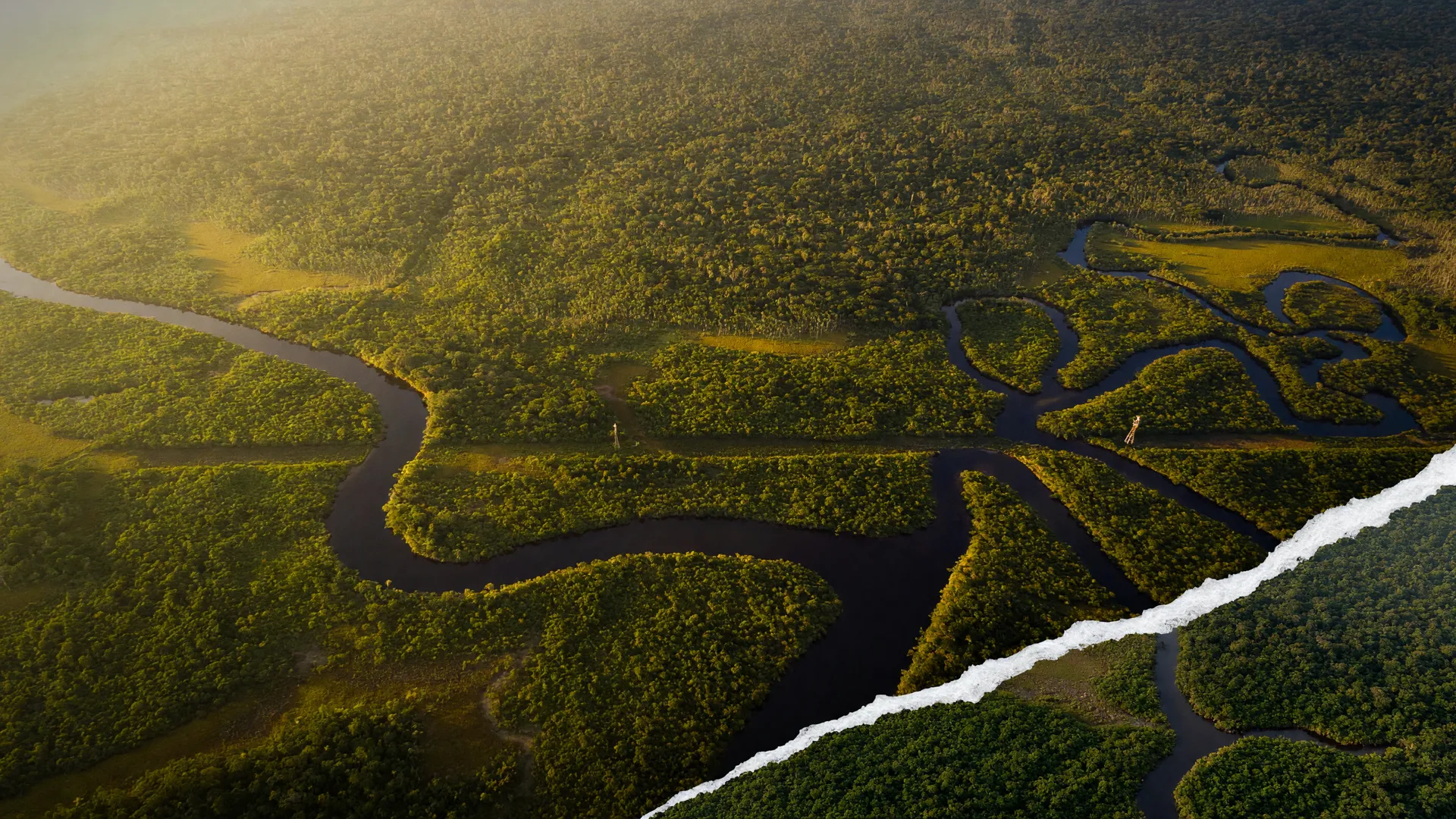 Vista aérea da floresta amazônica com rios sinuosos, ilustrando o desmatamento na Amazônia em 2025