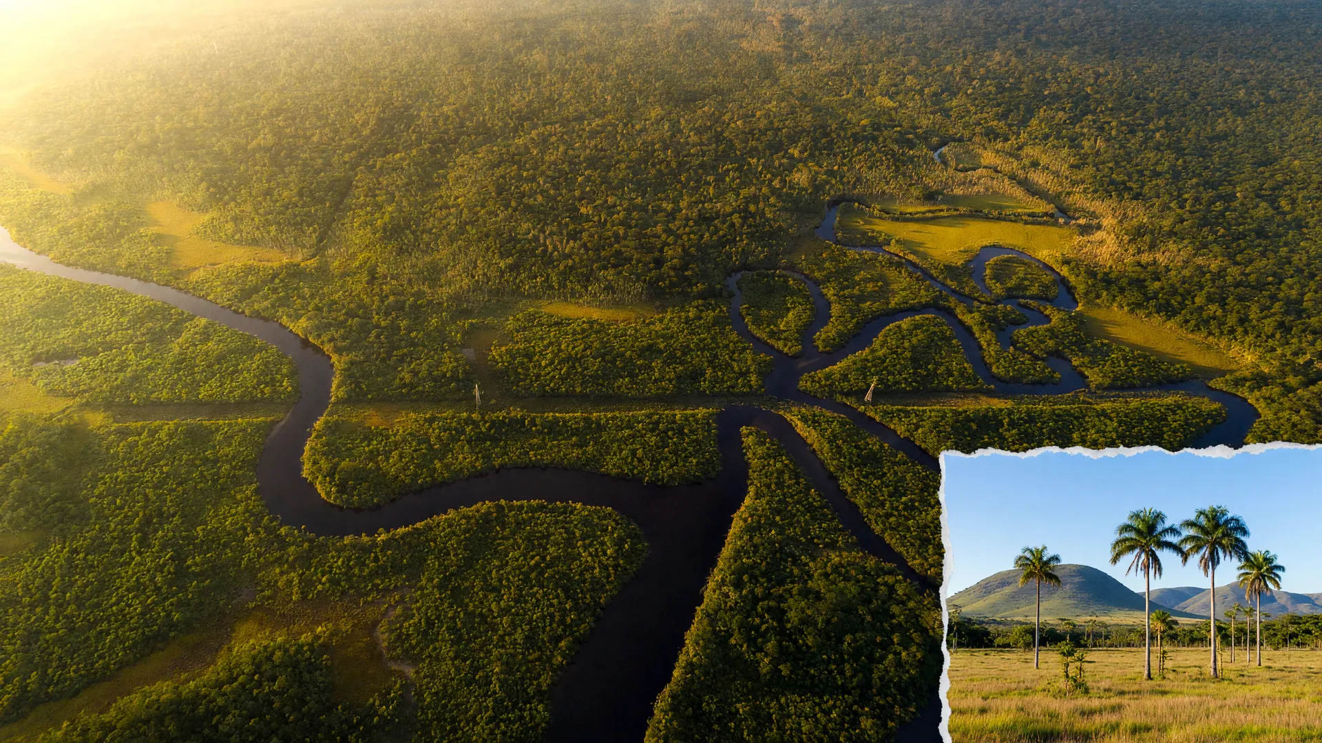 Vista aérea da floresta amazônica ilustrando a queda do desmatamento em unidades de conservação da Amazônia