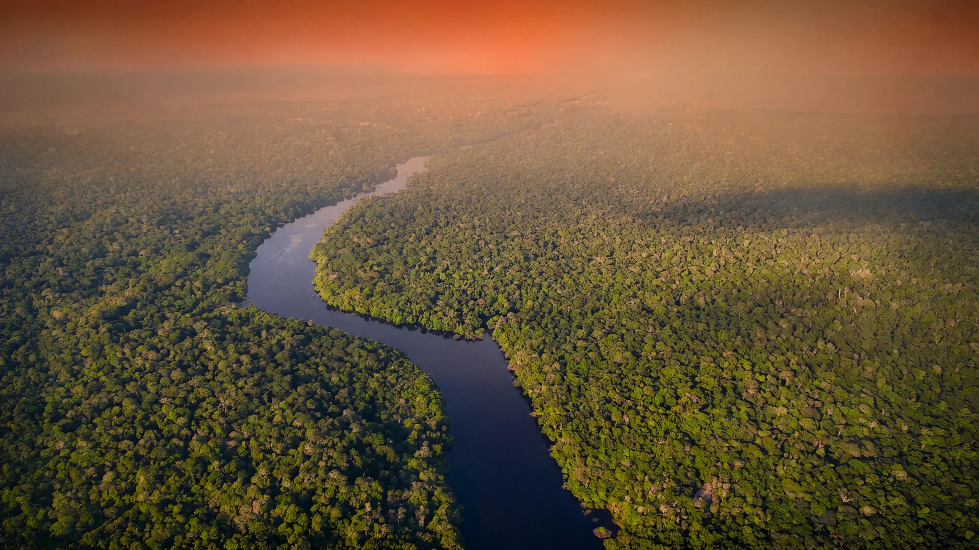 Floresta amazônica com névoa alaranjada, representando os focos de calor no Amazonas e a fumaça que atinge Manaus.