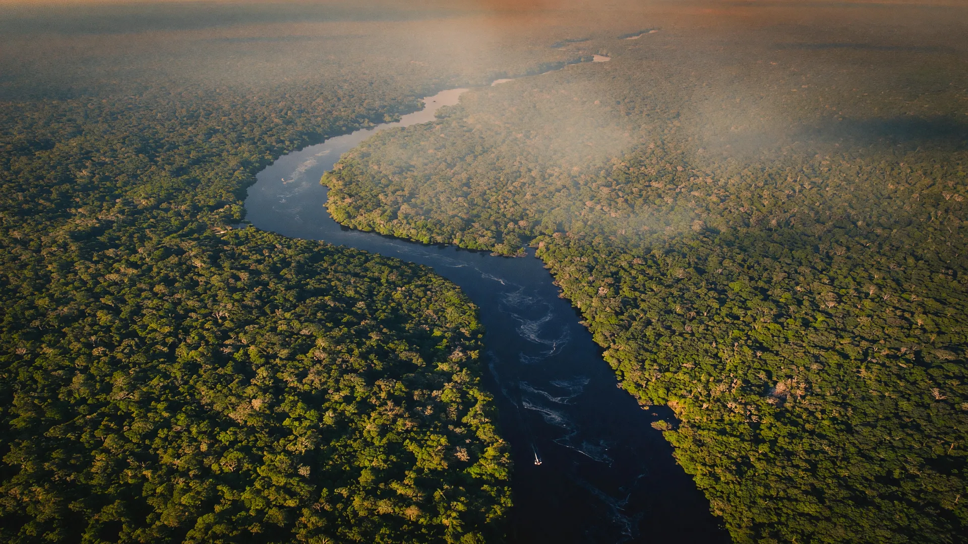 Vista aérea da floresta amazônica com rio sinuoso e névoa, simbolizando o fogo criminoso e o desmatamento no Amazonas