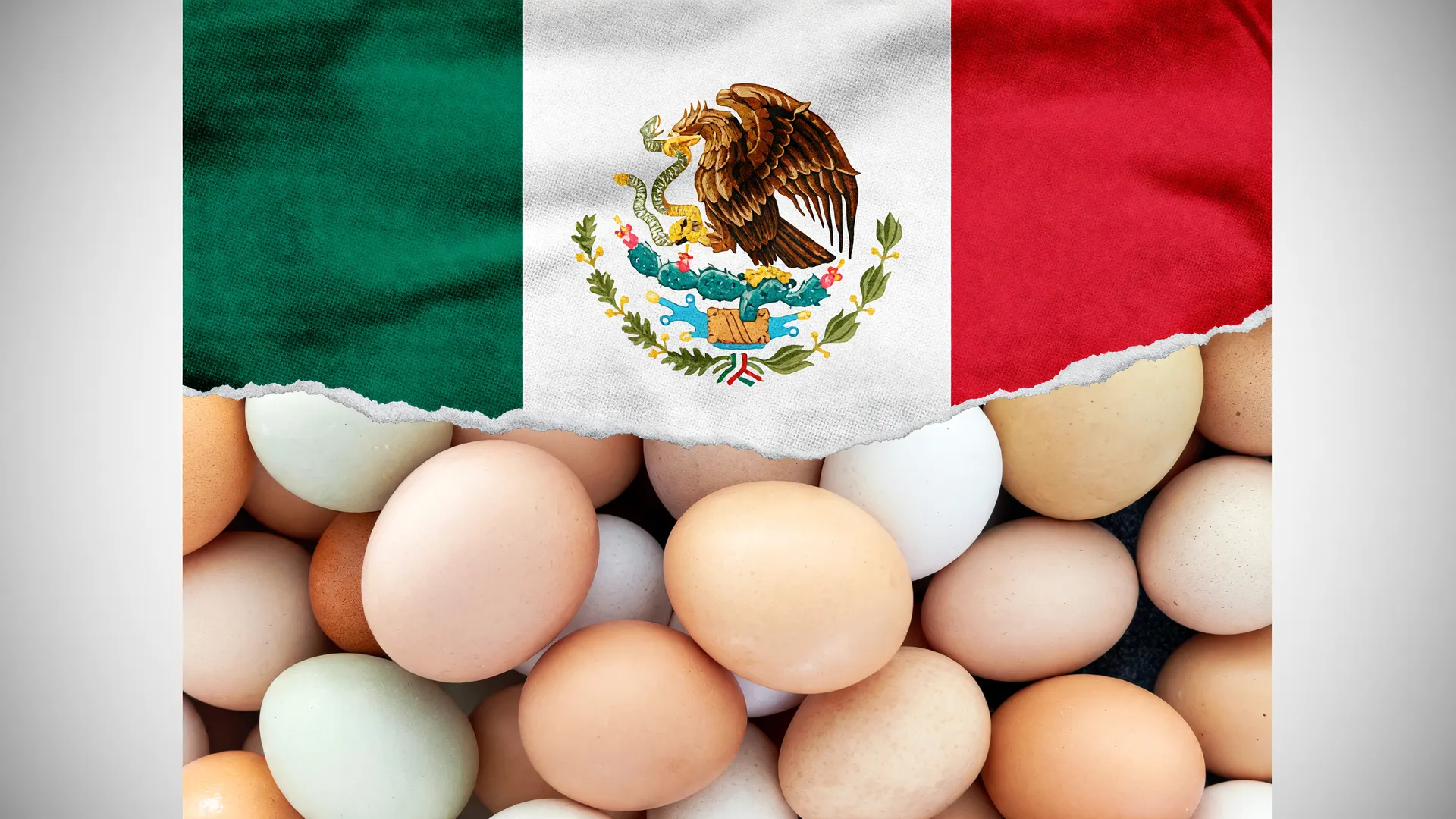 México suspende frango brasileiro Newcastle: bandeira mexicana e ovos de galinha simbolizam o embargo às aves de Santa Catarina